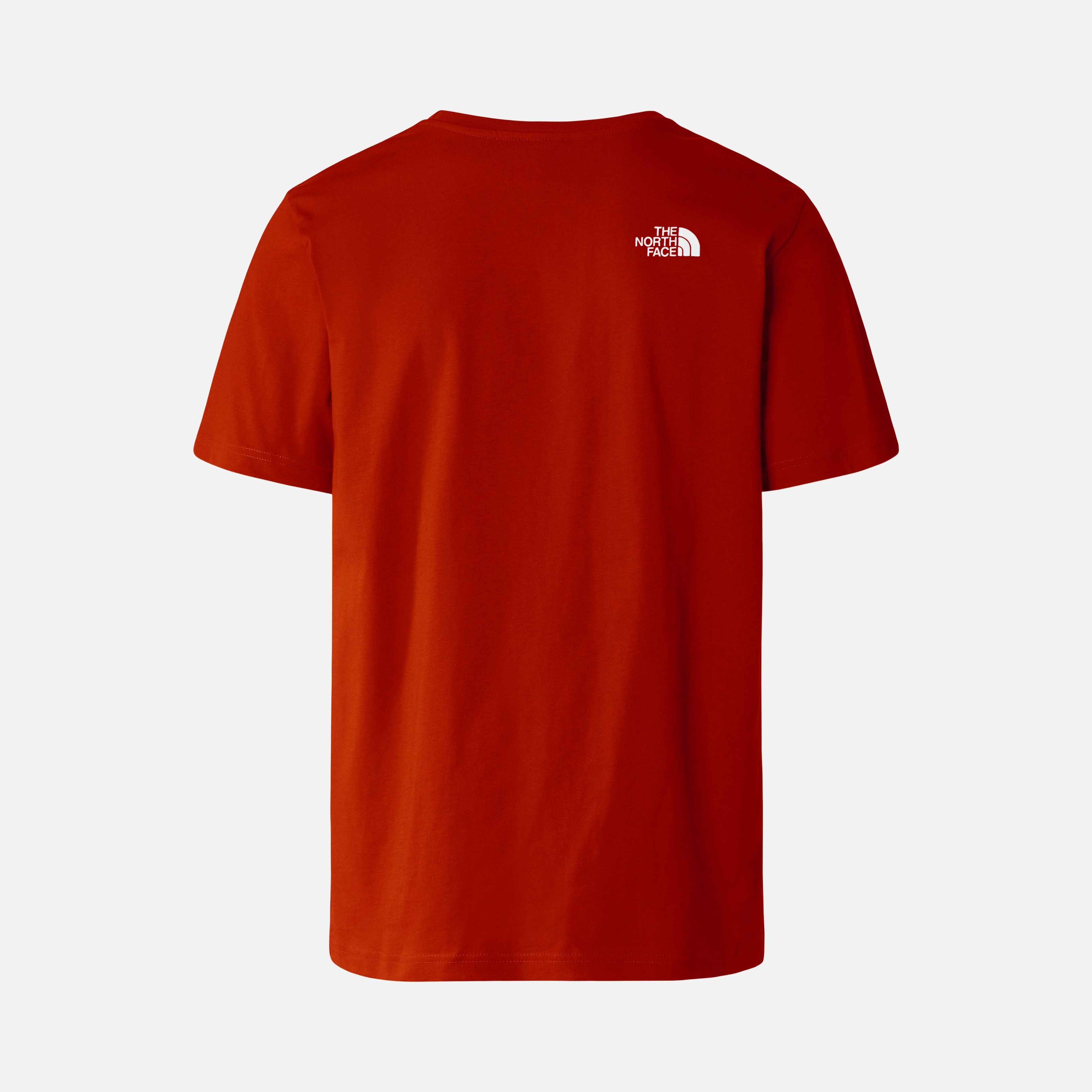 North Face  Rust 2 Never Stop Exploring Graphic Short-Sleeve Erkek Tişört