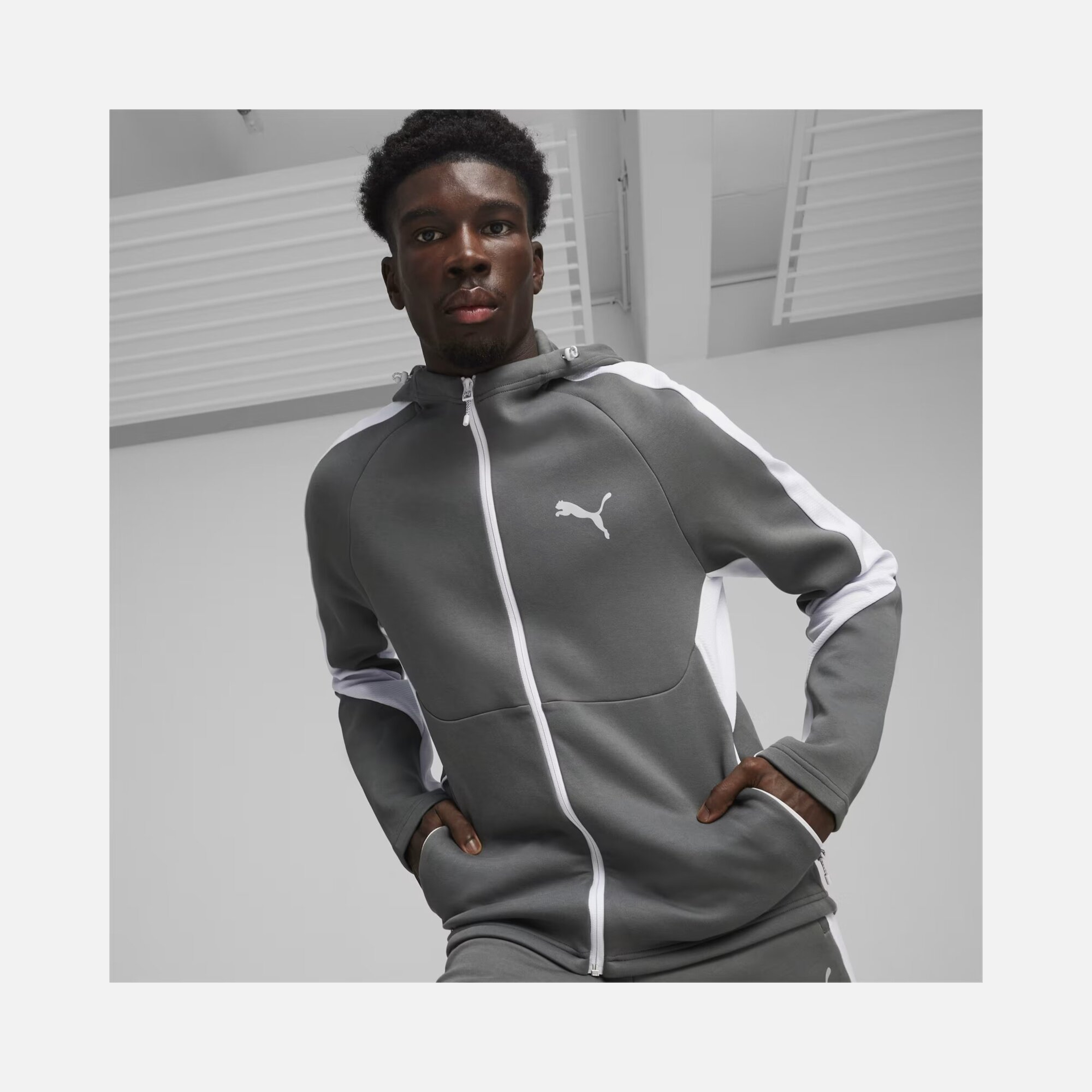 Puma Sportswear EVOSTRIPE Full-Zip Hoodie Erkek Sweatshirt