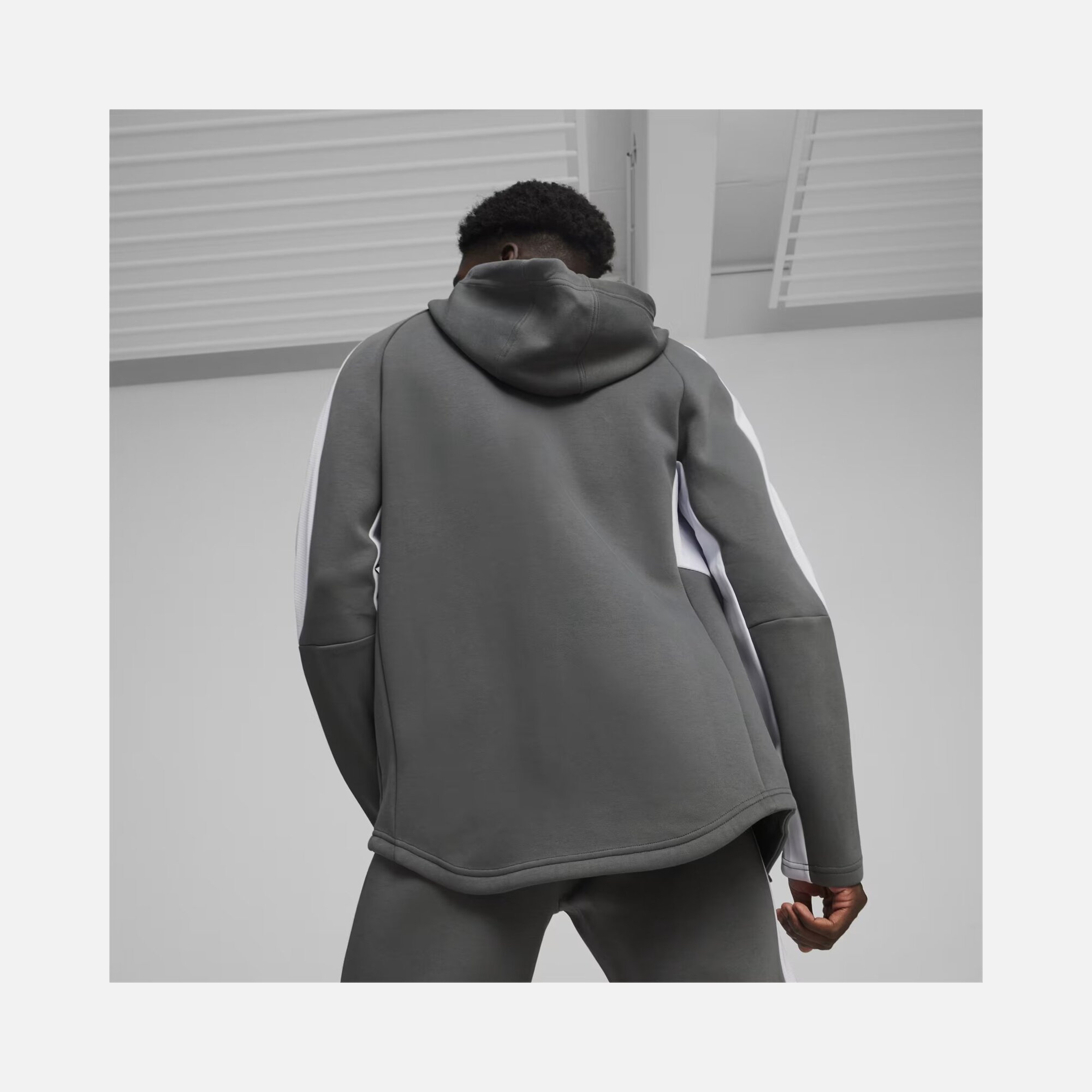 Puma Sportswear EVOSTRIPE Full-Zip Hoodie Erkek Sweatshirt