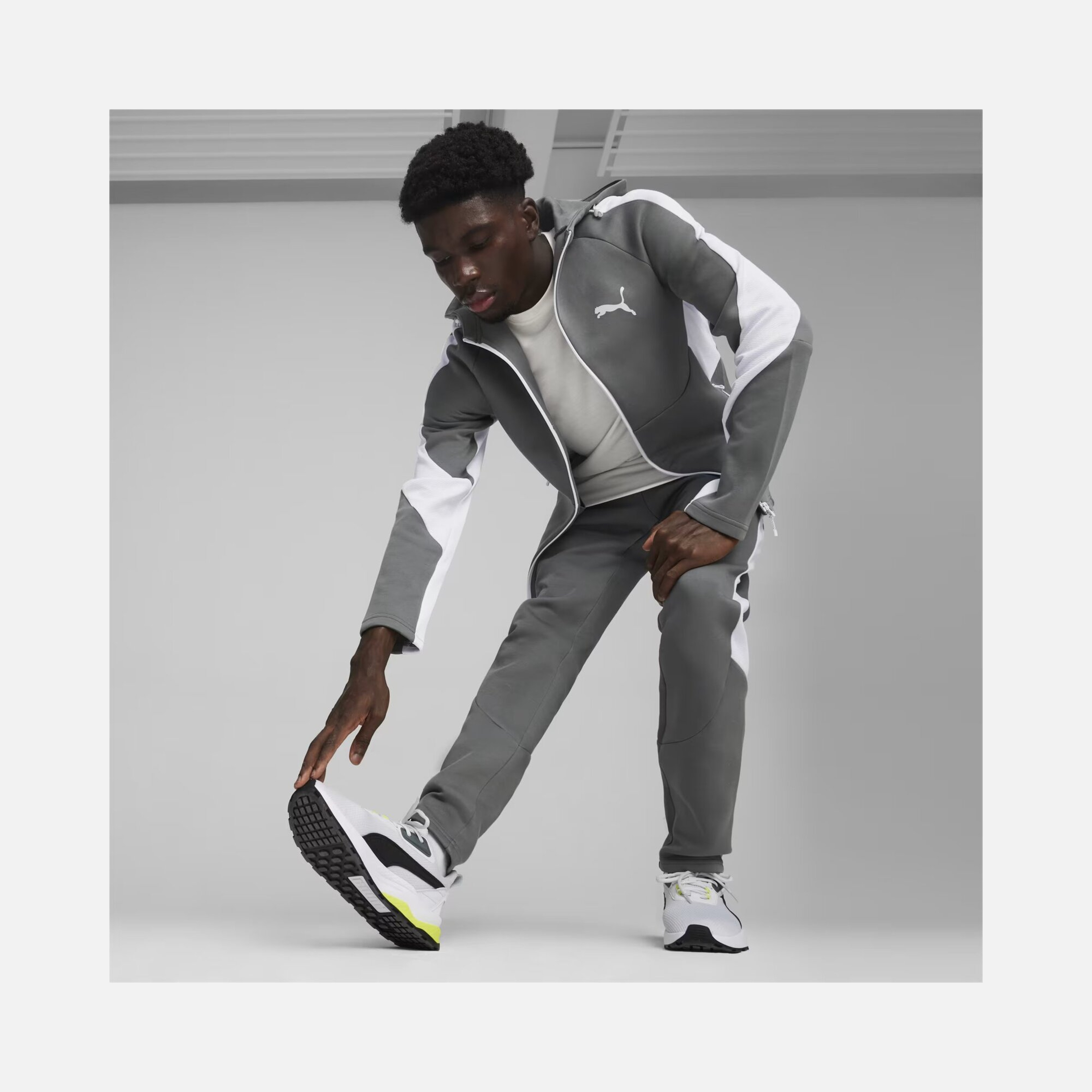 Puma Sportswear EVOSTRIPE Full-Zip Hoodie Erkek Sweatshirt