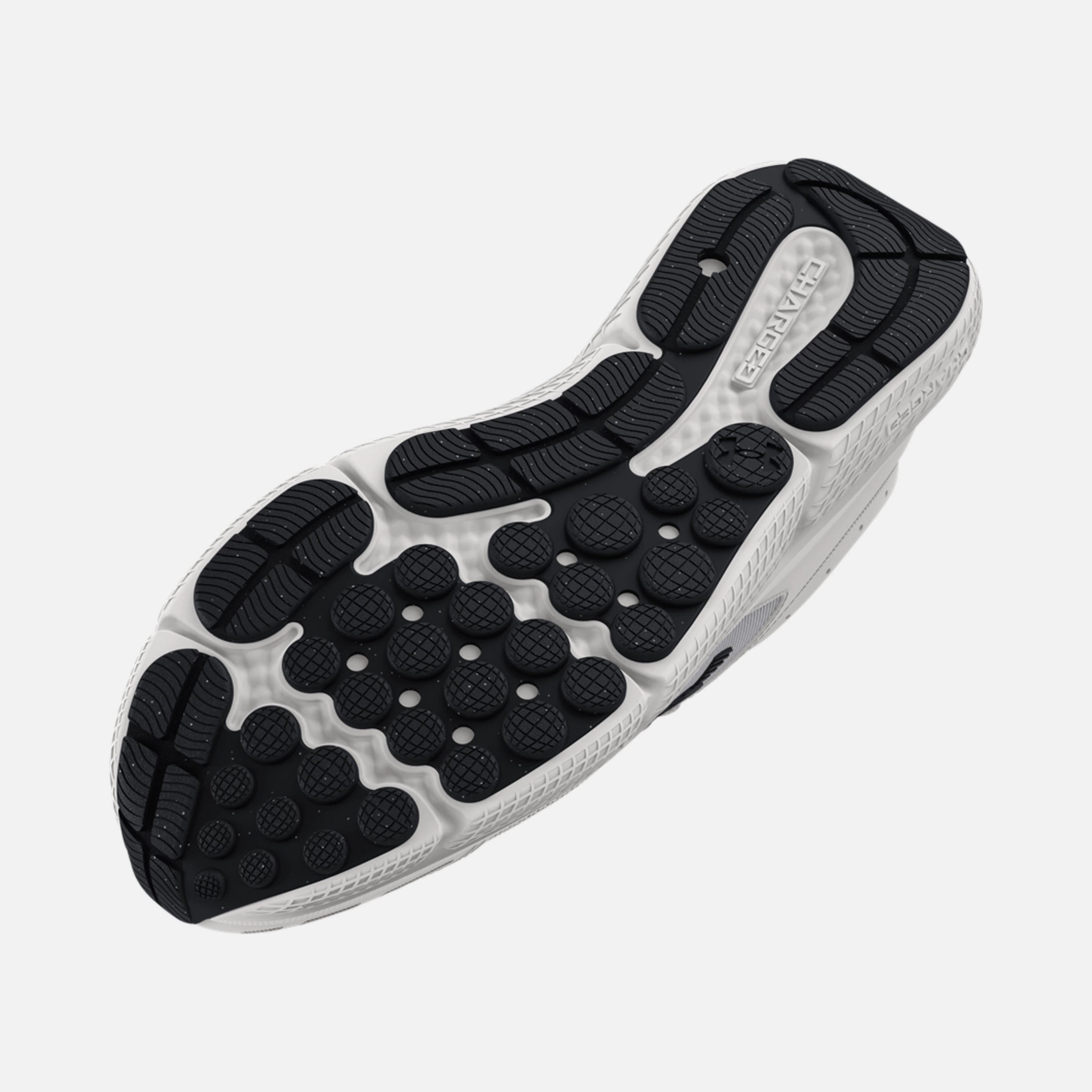 Under Armour Charged Assert 10 Running Erkek Spor Ayakkabı