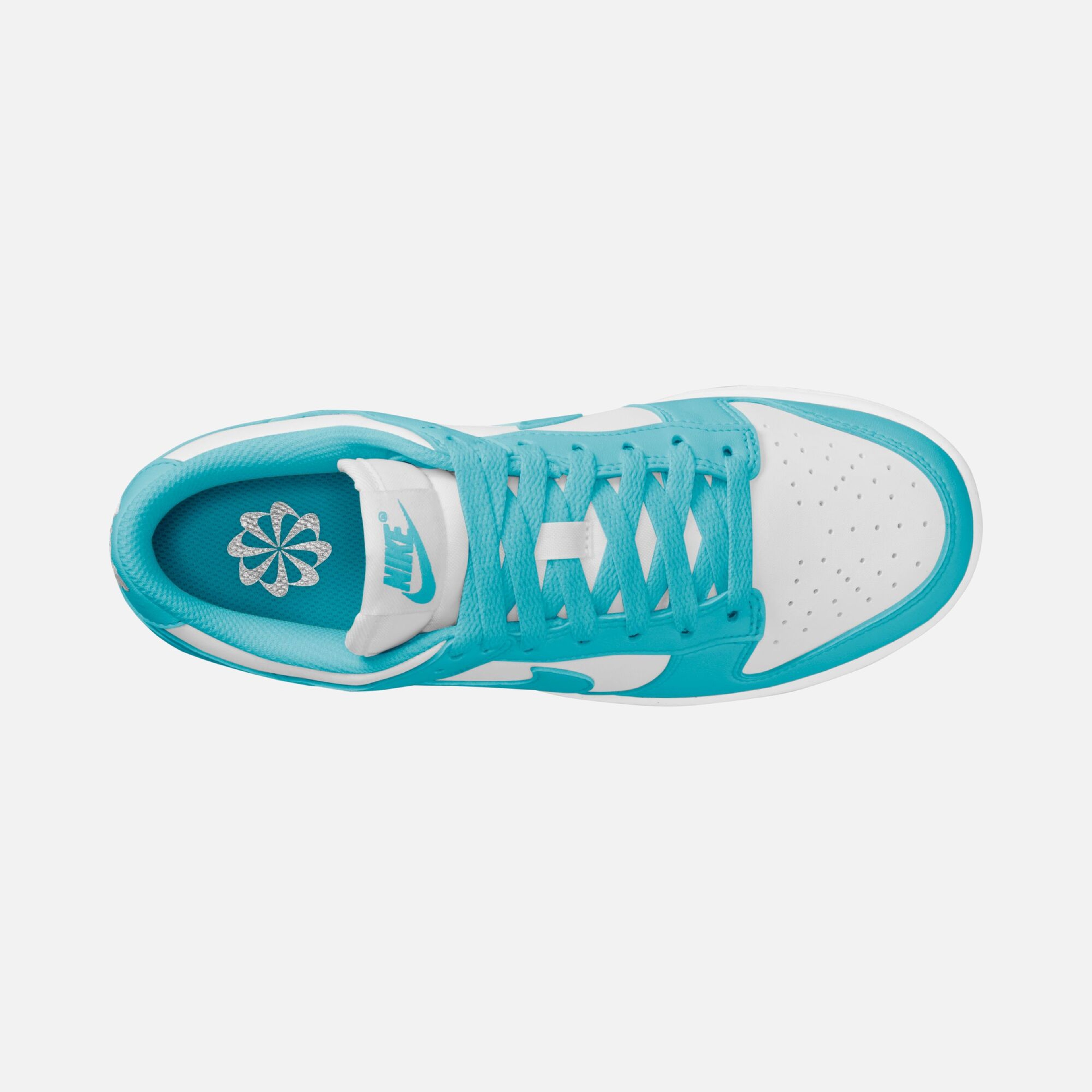 Nike Dunk Low Next Nature Kadın Spor Ayakkabı