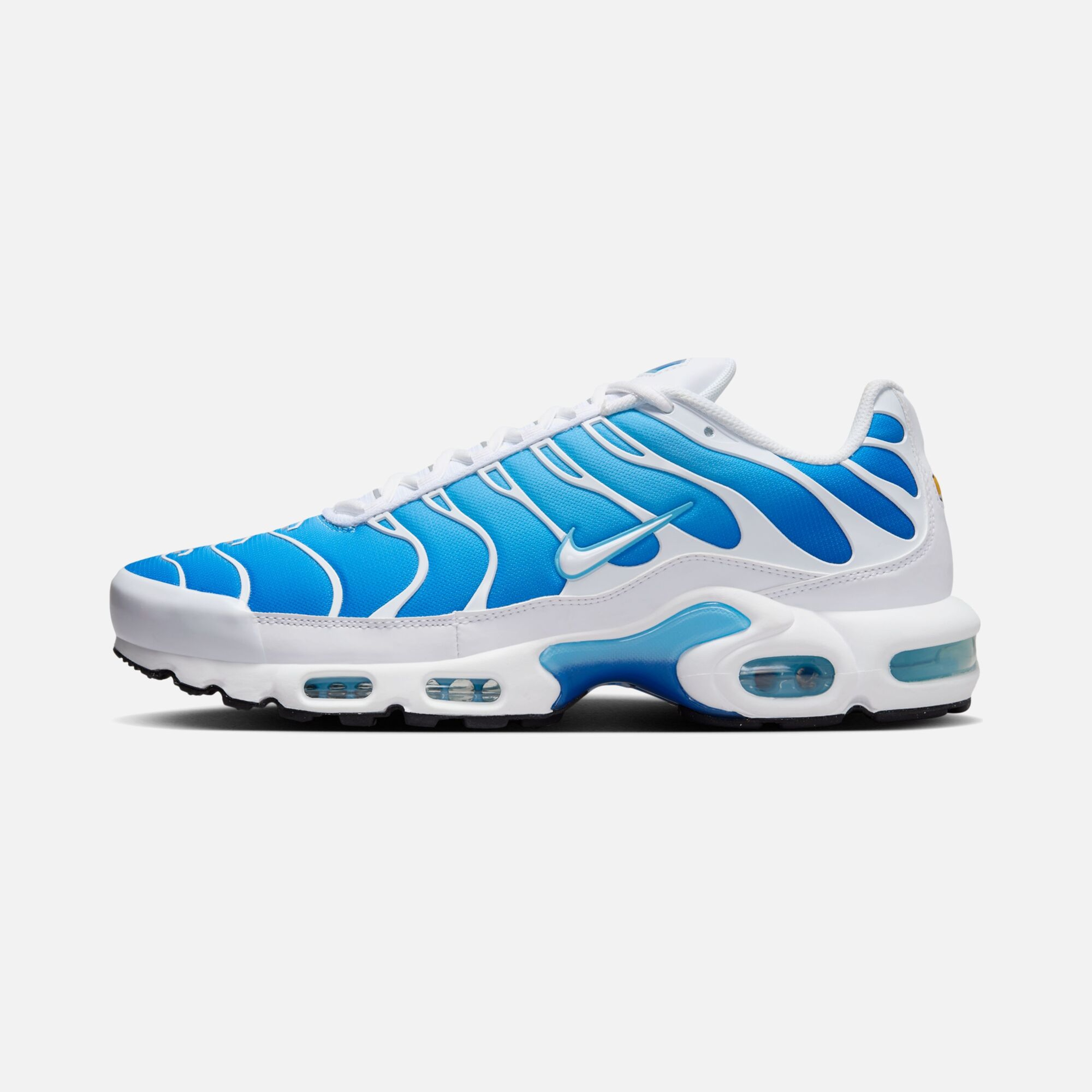 Nike Air Max Plus ''Tuned Air'' SS24 Erkek Spor Ayakkabı