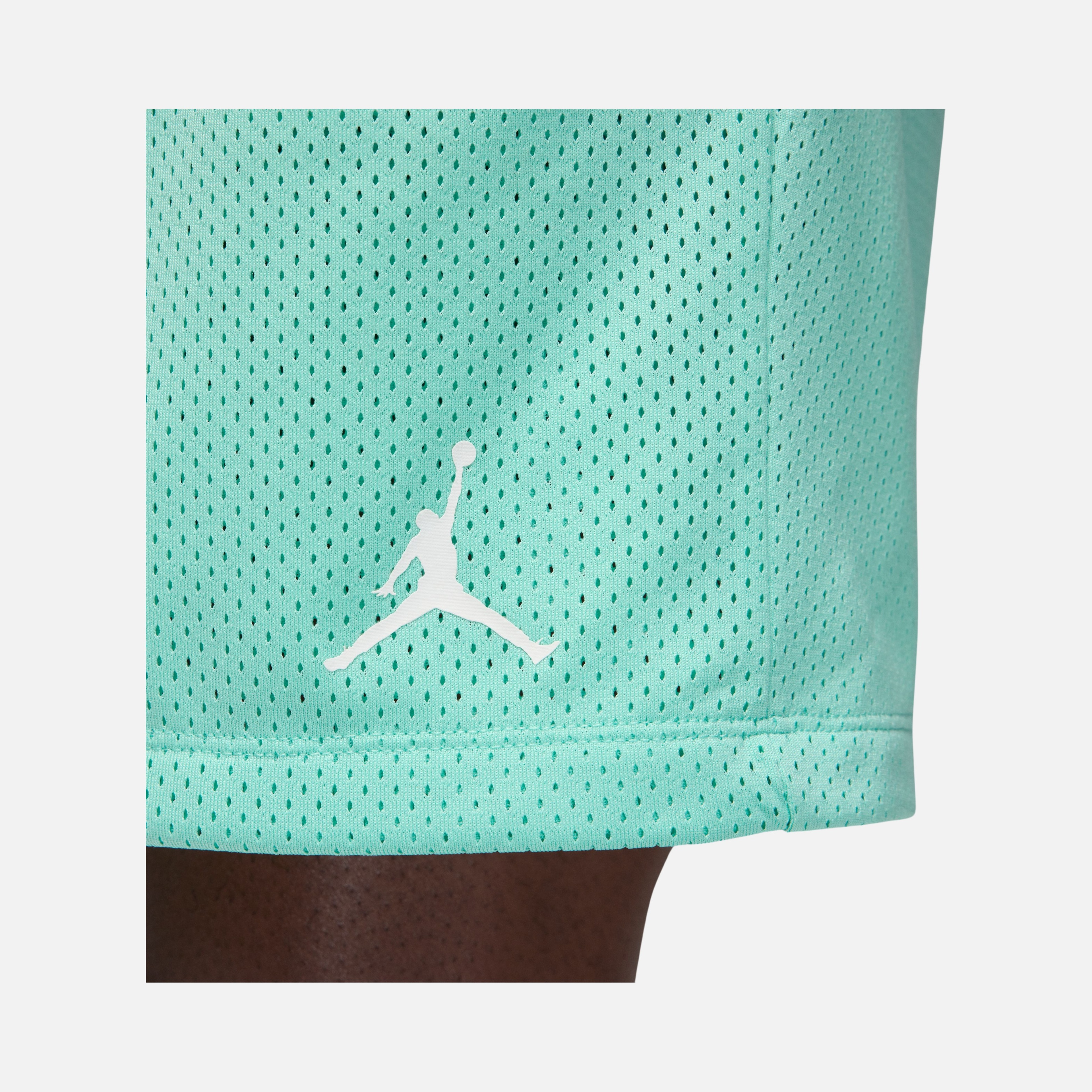 Nike Jordan Flight MVP Statement Mesh Erkek Şort