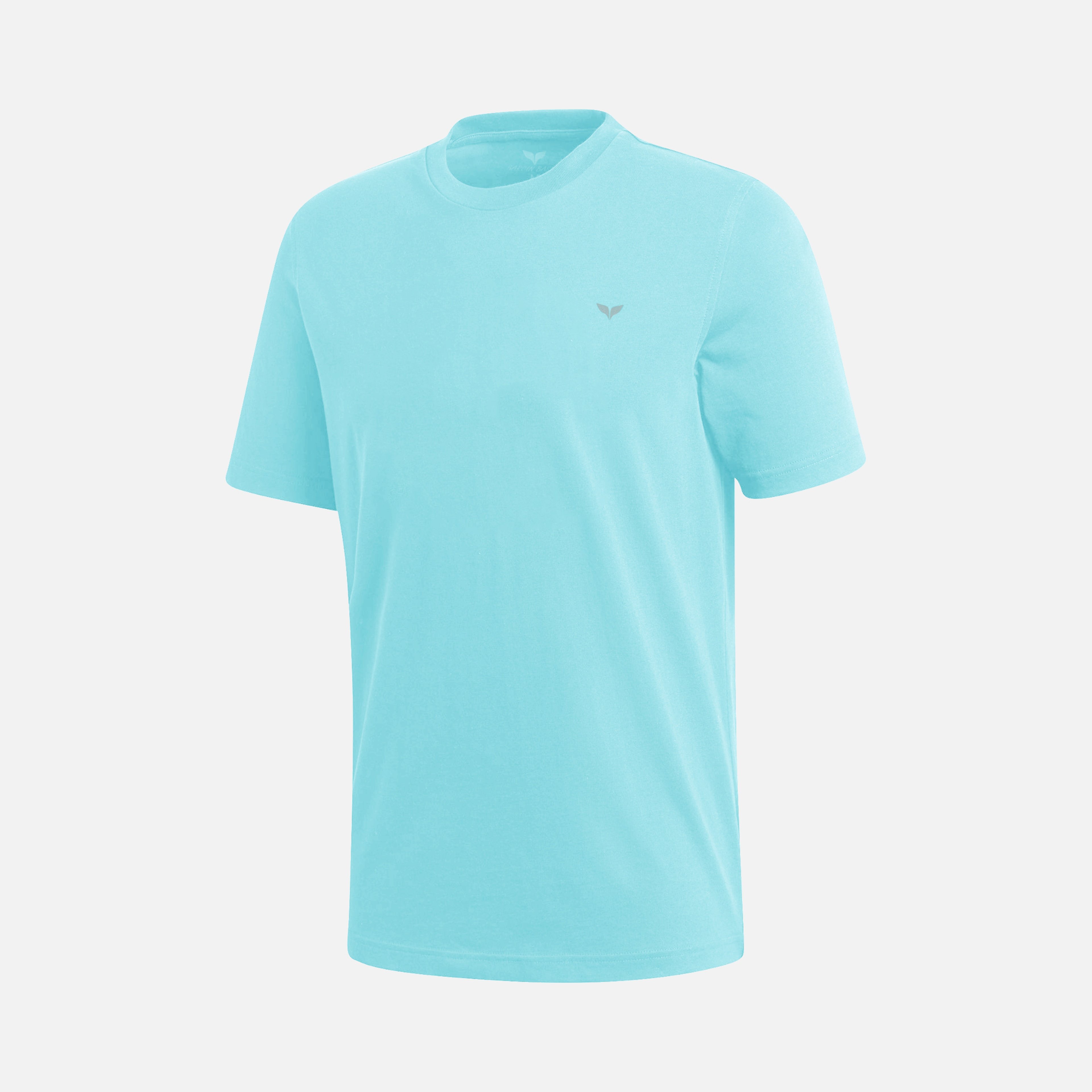 Barçın Basics Sportswear Crew Neck Short-Sleeve Erkek Tişört