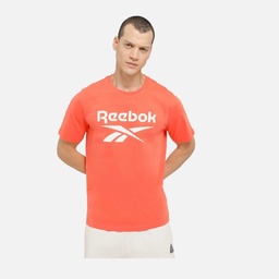 Reebok Sportswear Identity Big Logo Short-Sleeve Erkek Tişört