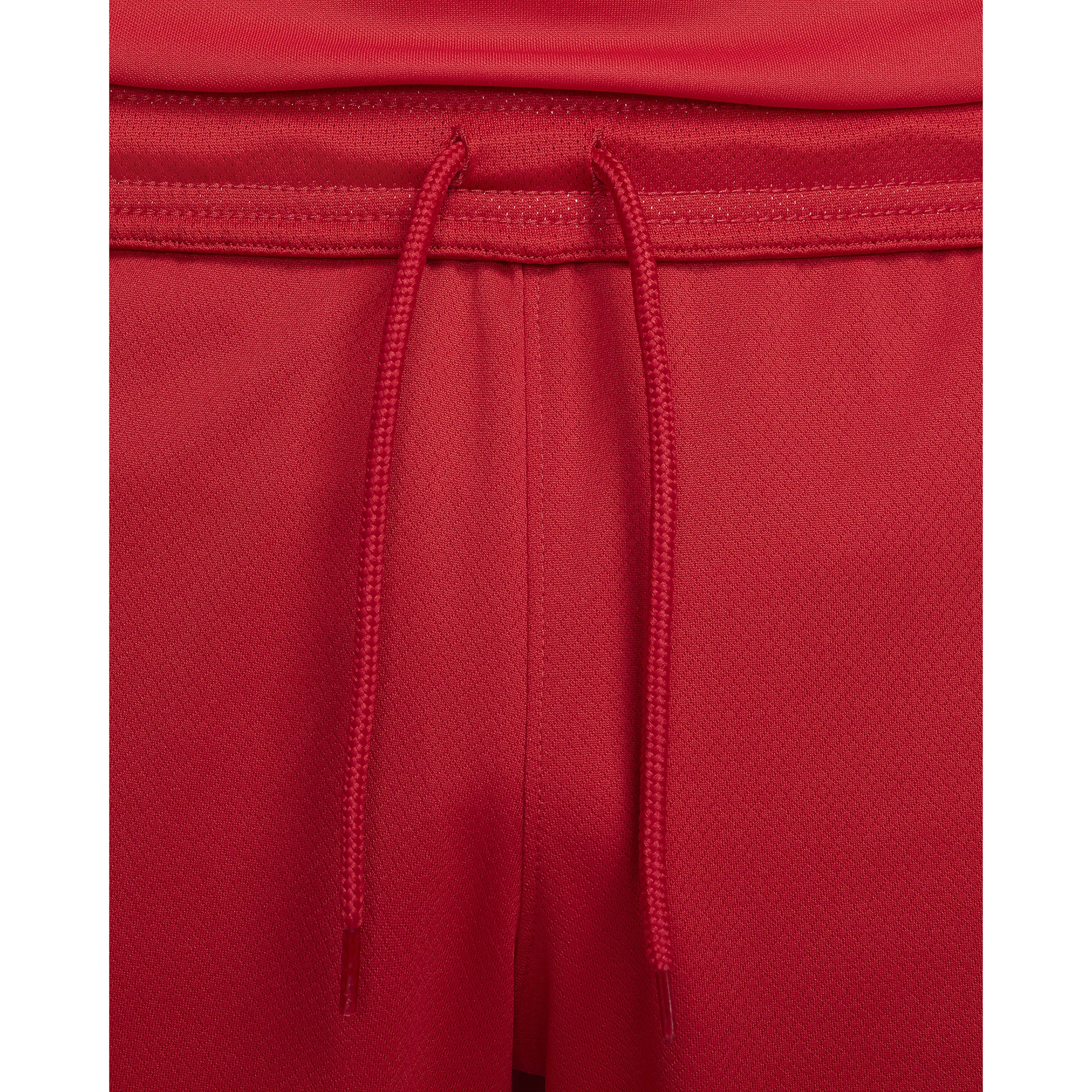 Nike Türkiye 2024-2025 Dri-Fit Stadium İç Saha&Deplasman Erkek Şort