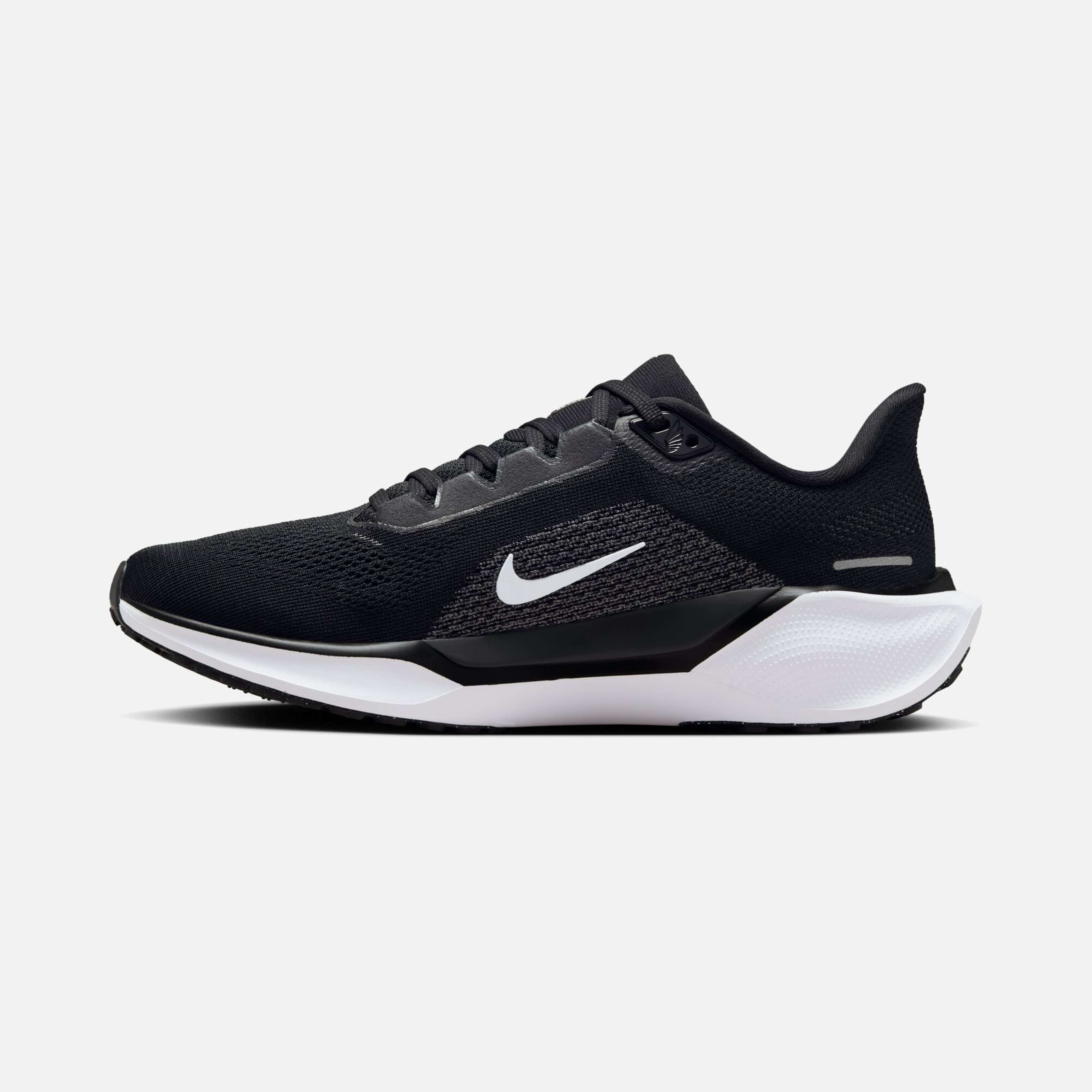 Nike Air Zoom Pegasus 41 Road Running Kadın Spor Ayakkabı
