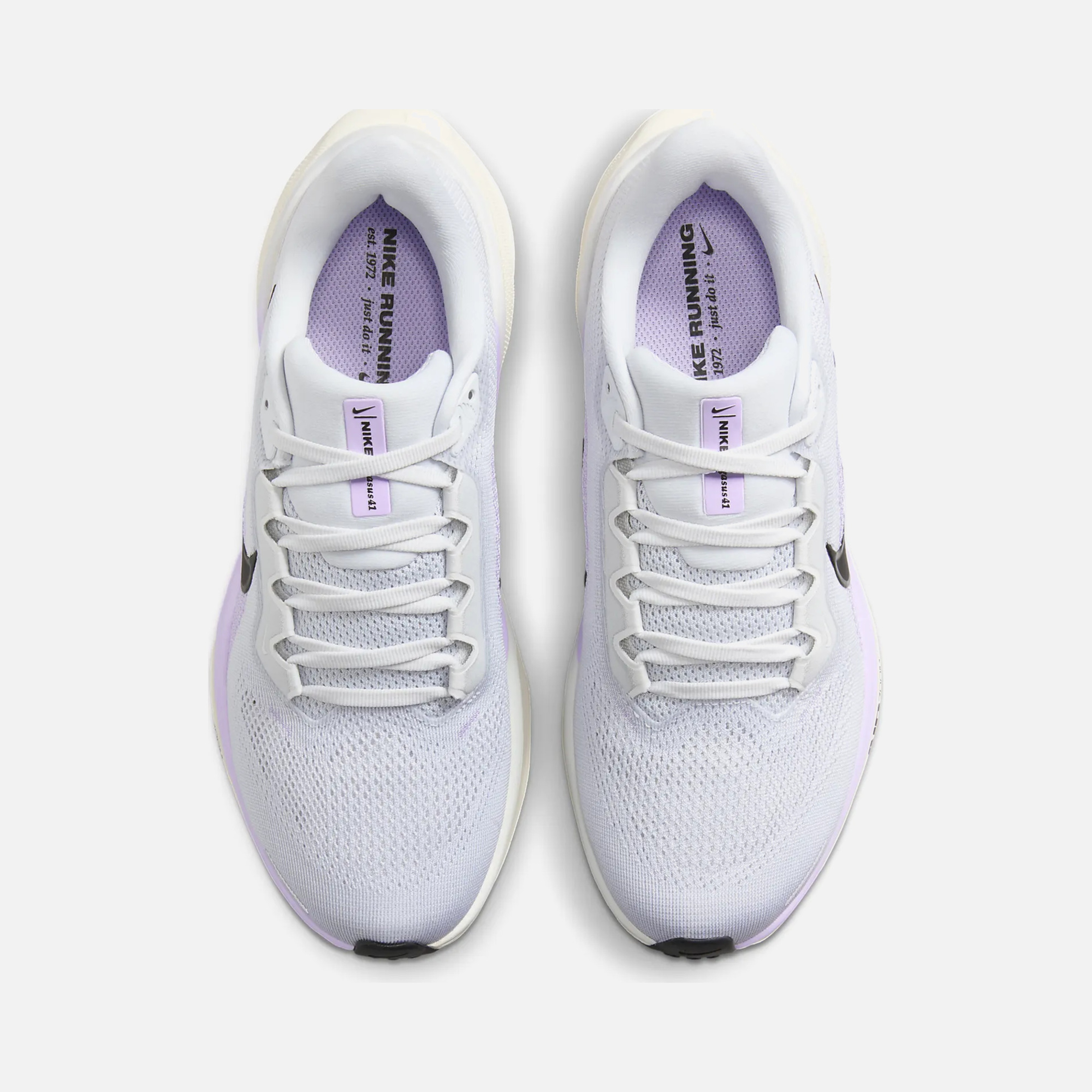 Nike Air Zoom Pegasus 41 Road Running Kadın Spor Ayakkabı