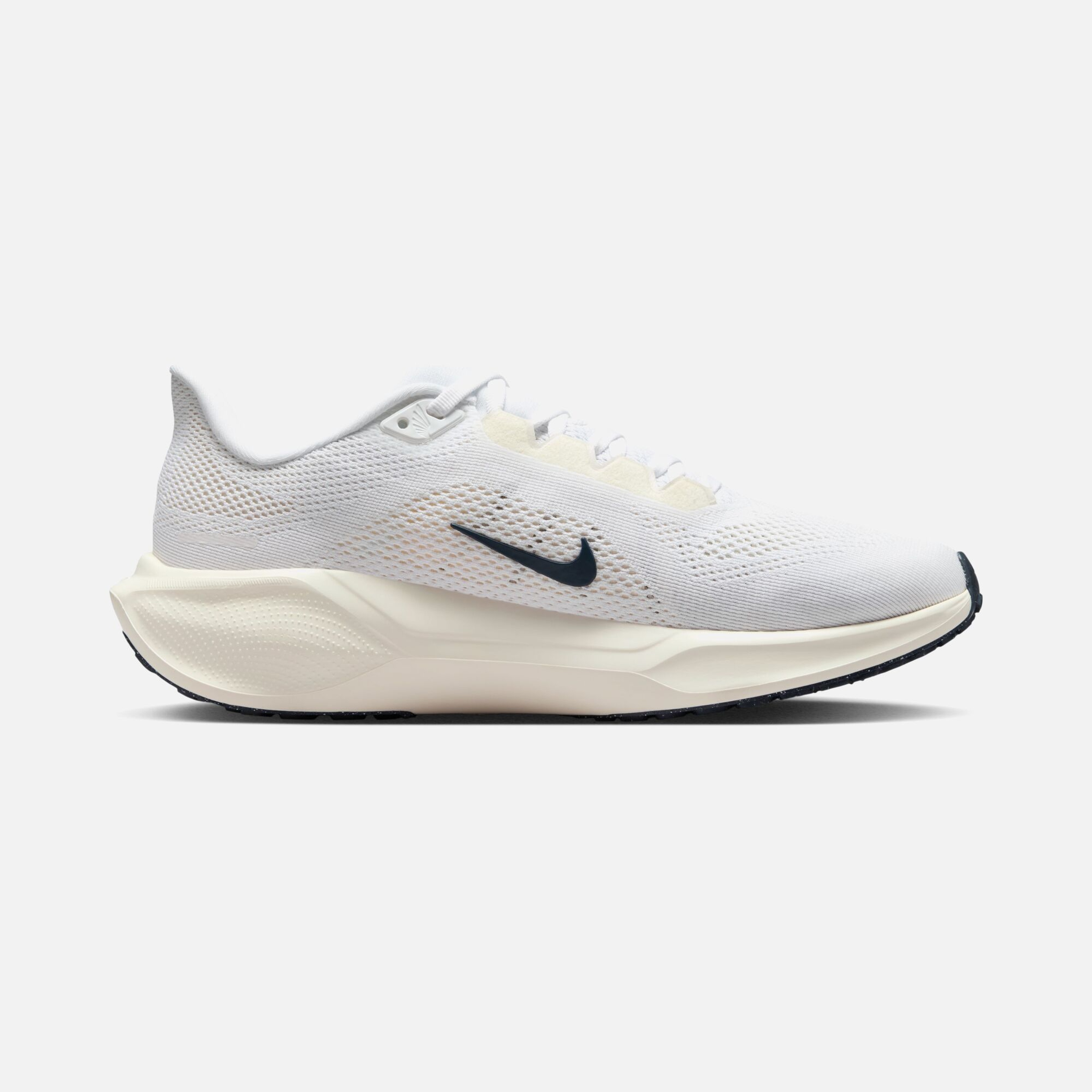 Nike Air Zoom Pegasus 41 PQ FW24 Road Running Kadın Spor Ayakkabı