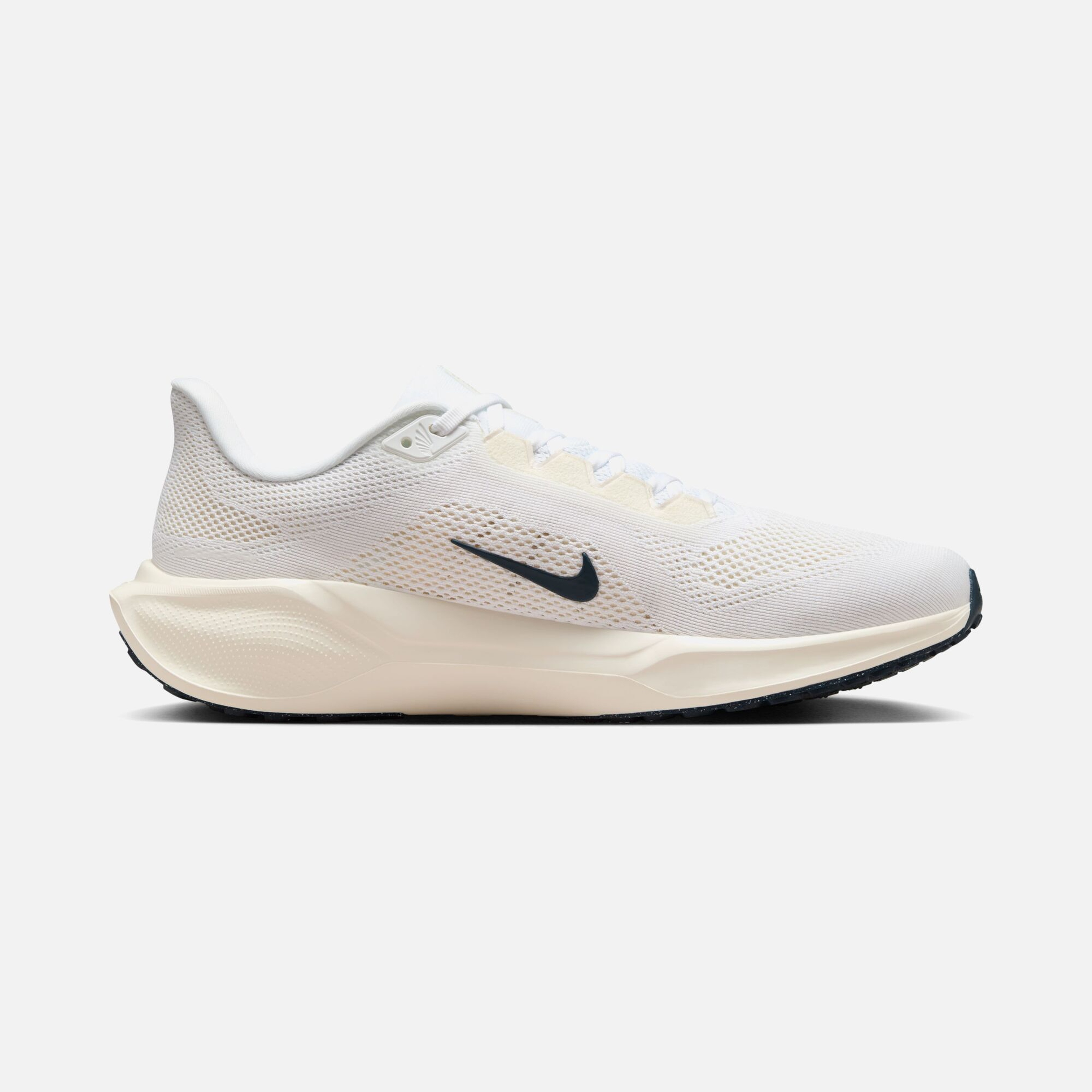Nike Air Zoom Pegasus 41 PQ FW24 Road Running Erkek Spor Ayakkabı