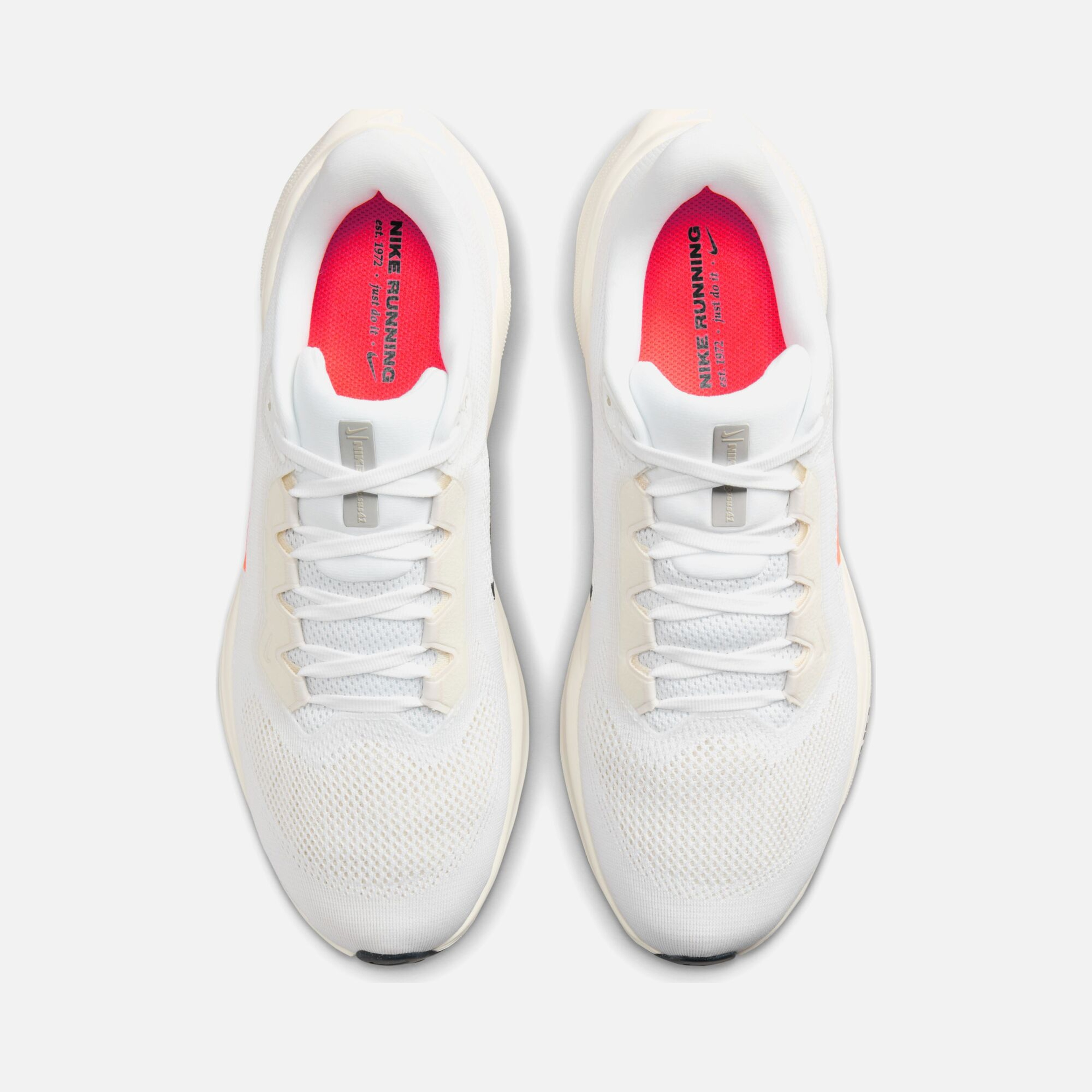 Nike Air Zoom Pegasus 41 PQ FW24 Road Running Erkek Spor Ayakkabı