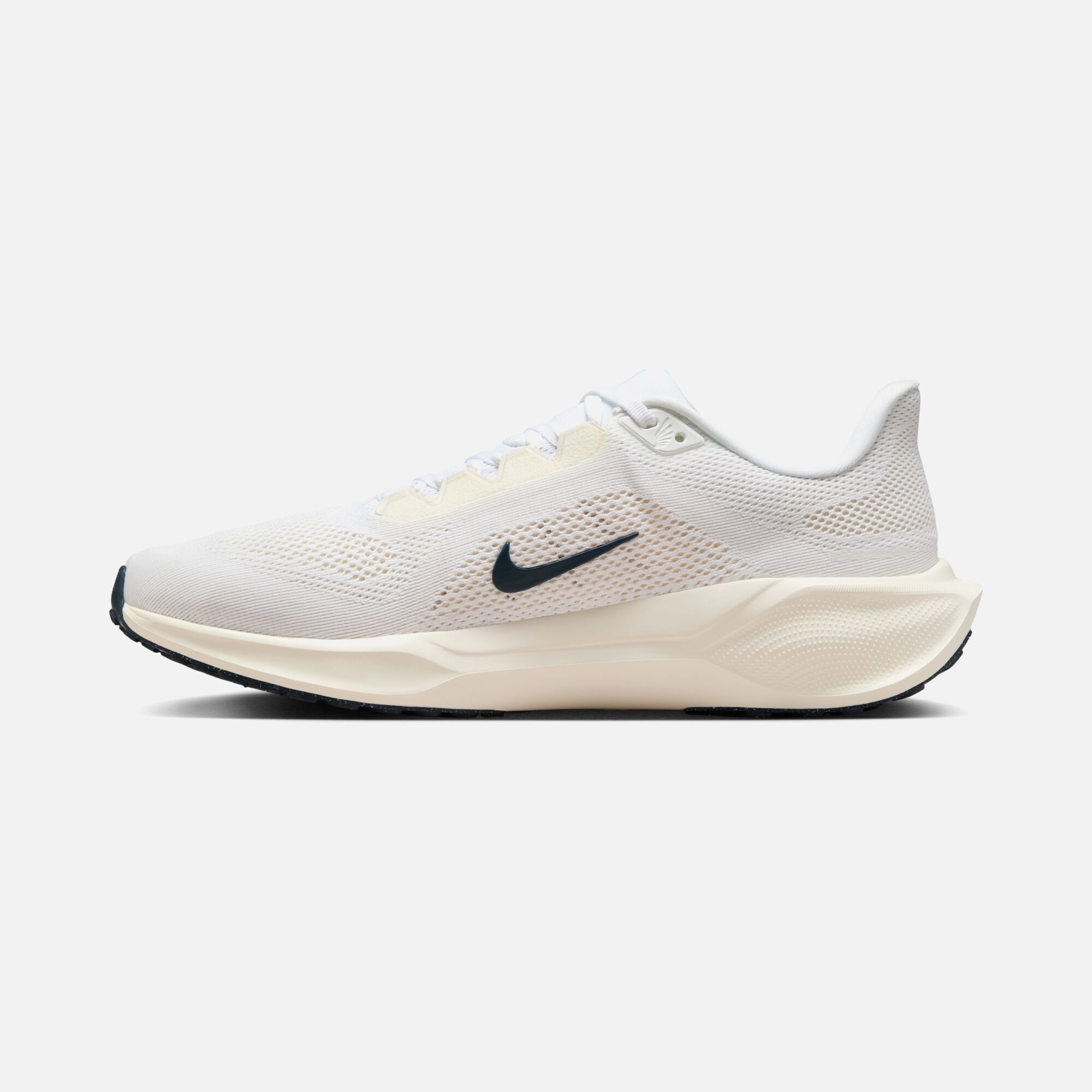 Nike Air Zoom Pegasus 41 PQ FW24 Road Running Erkek Spor Ayakkabı
