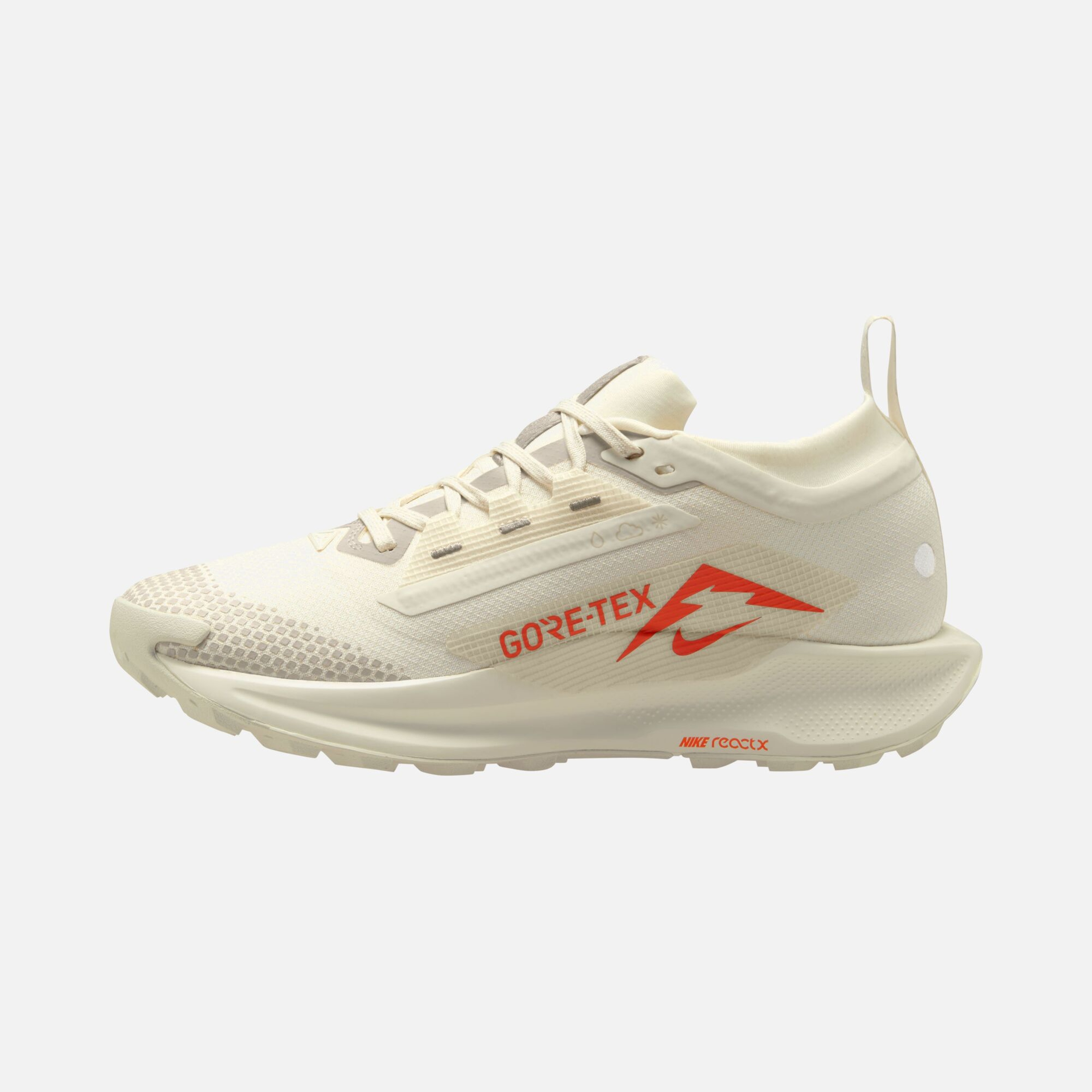 Nike Pegasus Trail 5 Gore-Tex Running Kadın Spor Ayakkabı