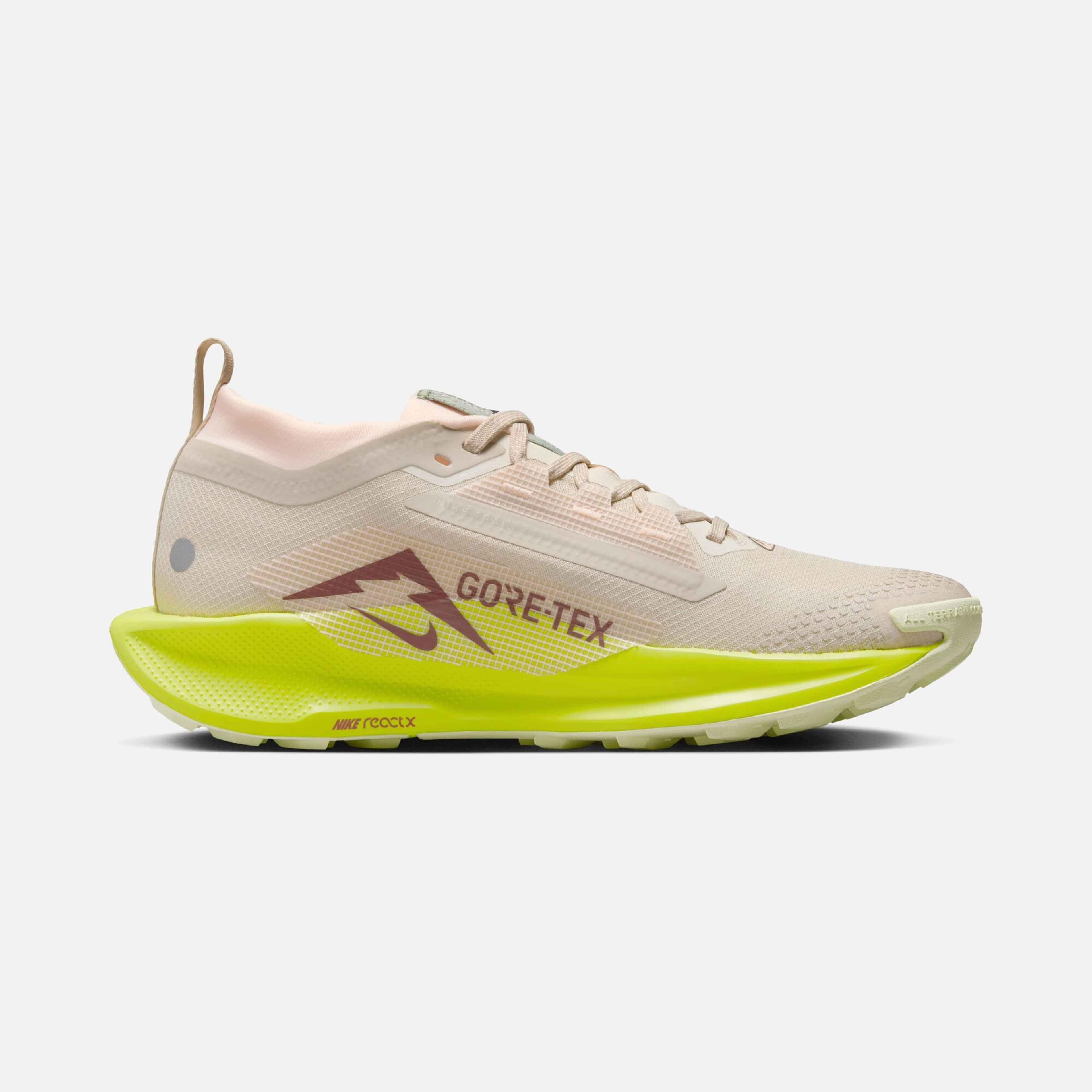 Nike Pegasus Trail 5 Gore-Tex Running Kadın Spor Ayakkabı