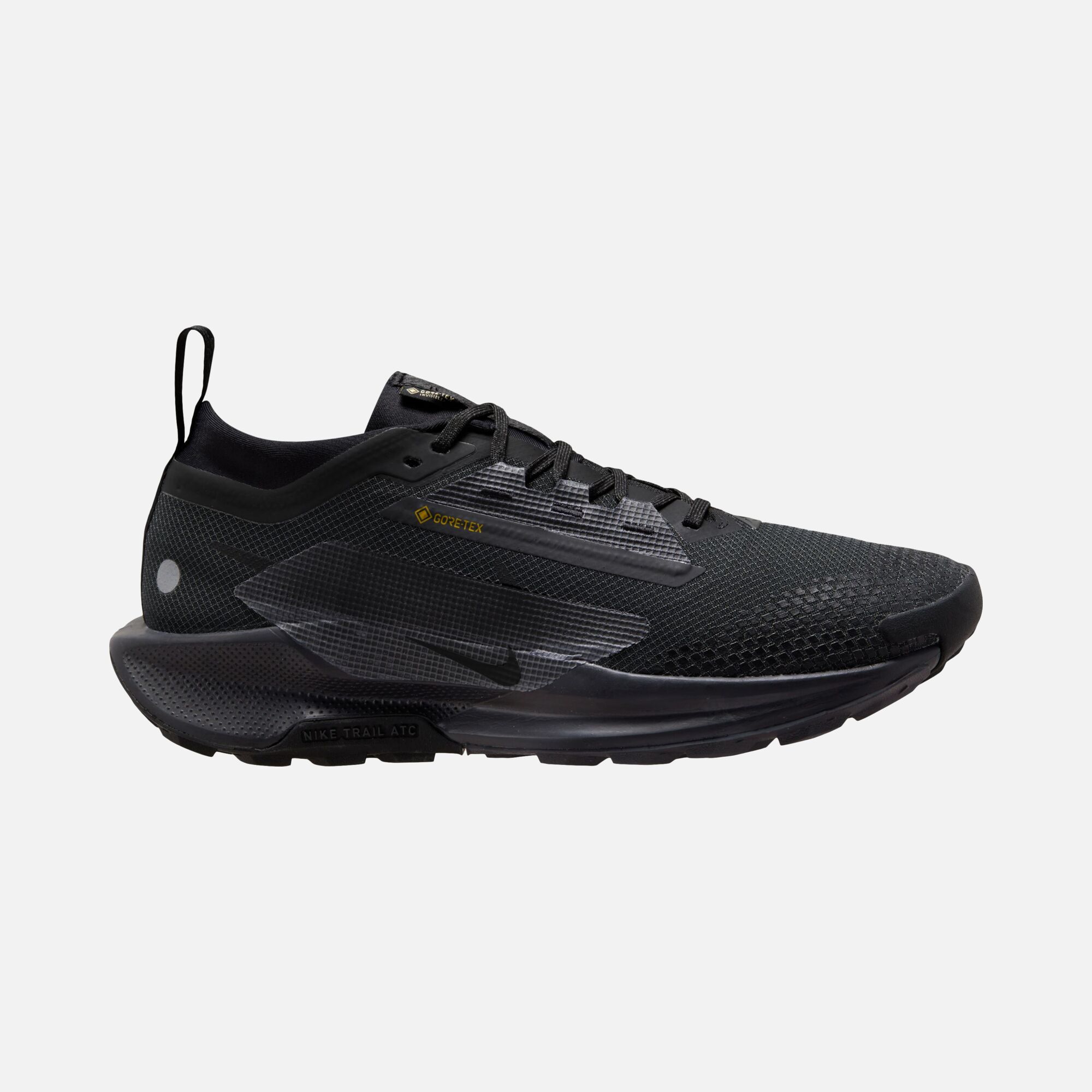 Nike Pegasus Trail 5 Gore-Tex Running Erkek Spor Ayakkabı | Barçın