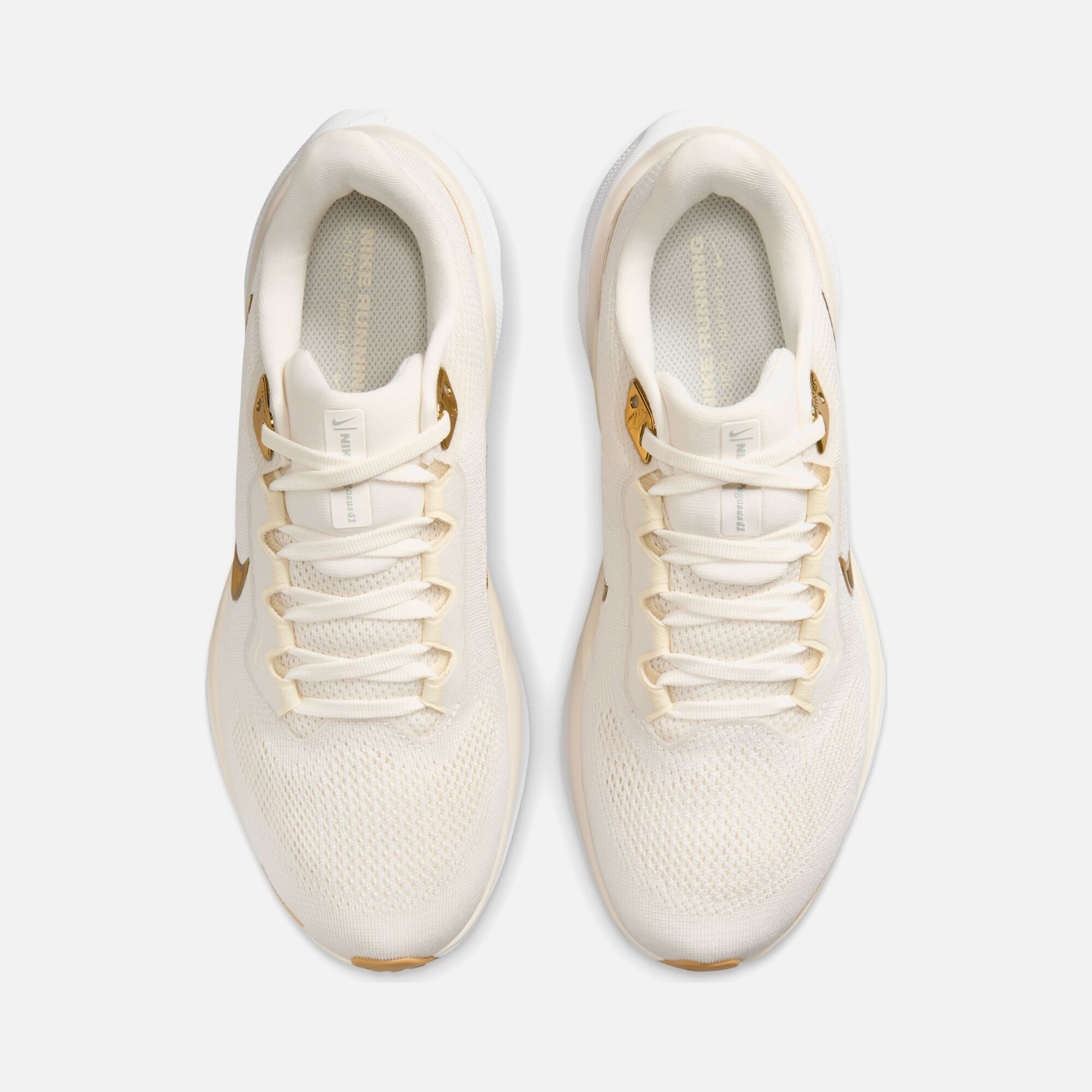 Nike Air Zoom Pegasus 41 Road Running Kadın Spor Ayakkabı