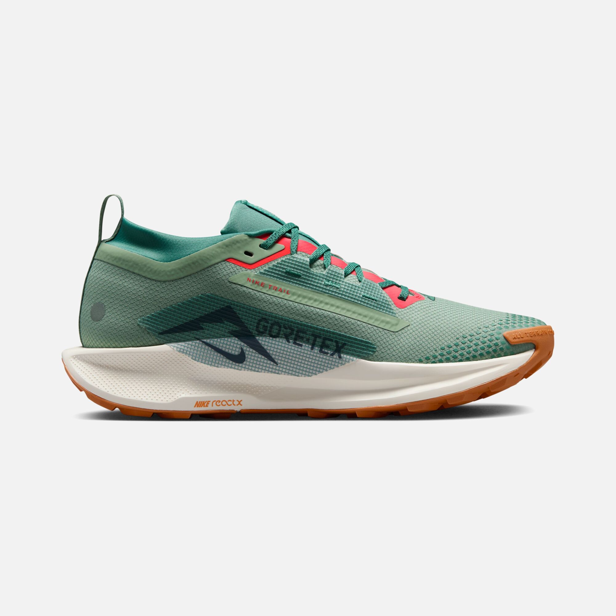 Nike Pegasus Trail 5 Gore-Tex Running Erkek Spor Ayakkabı | Barçın