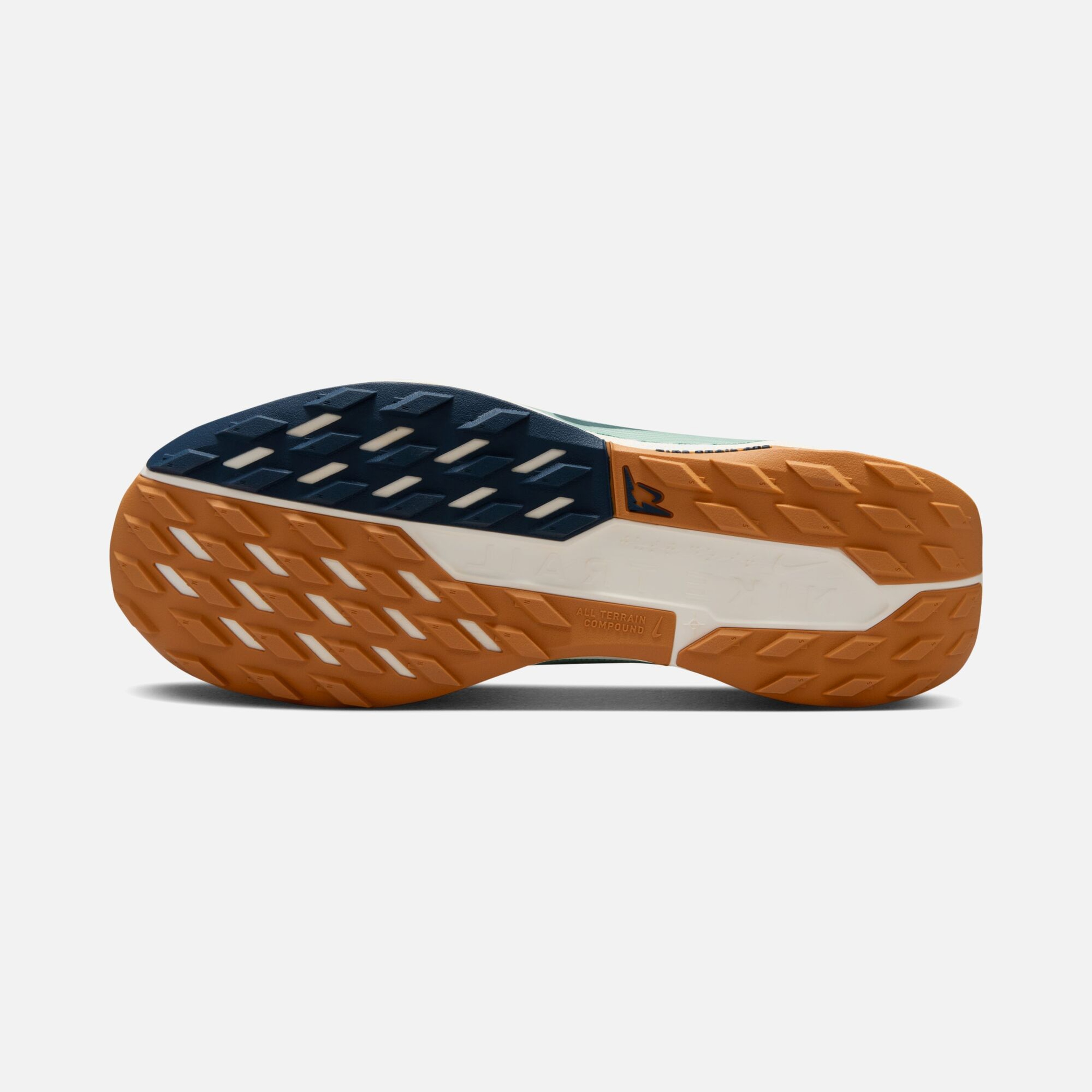 Nike Pegasus Trail 5 Gore-Tex Running Erkek Spor Ayakkabı