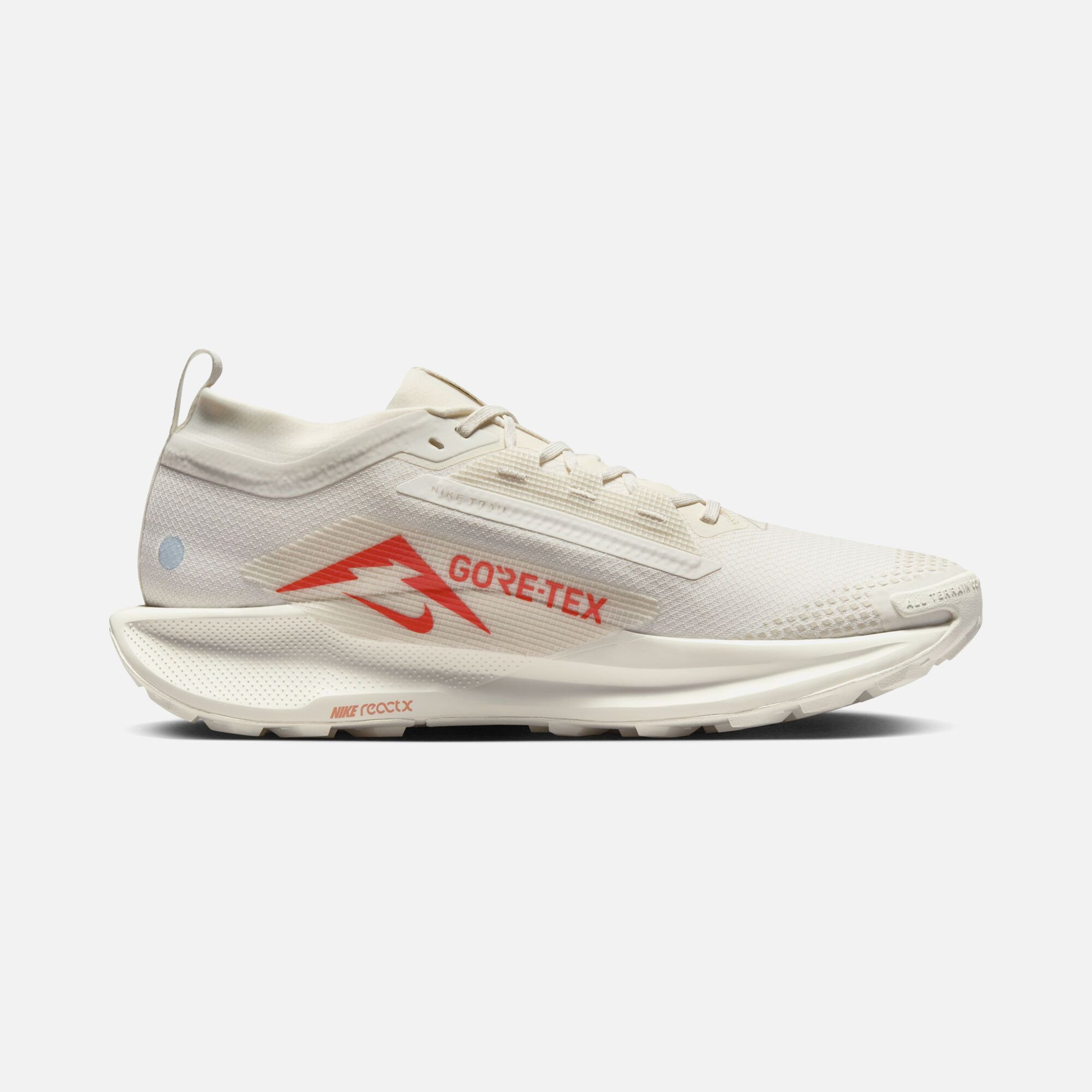 Nike Pegasus Trail 5 Gore-Tex Running Erkek Spor Ayakkabı