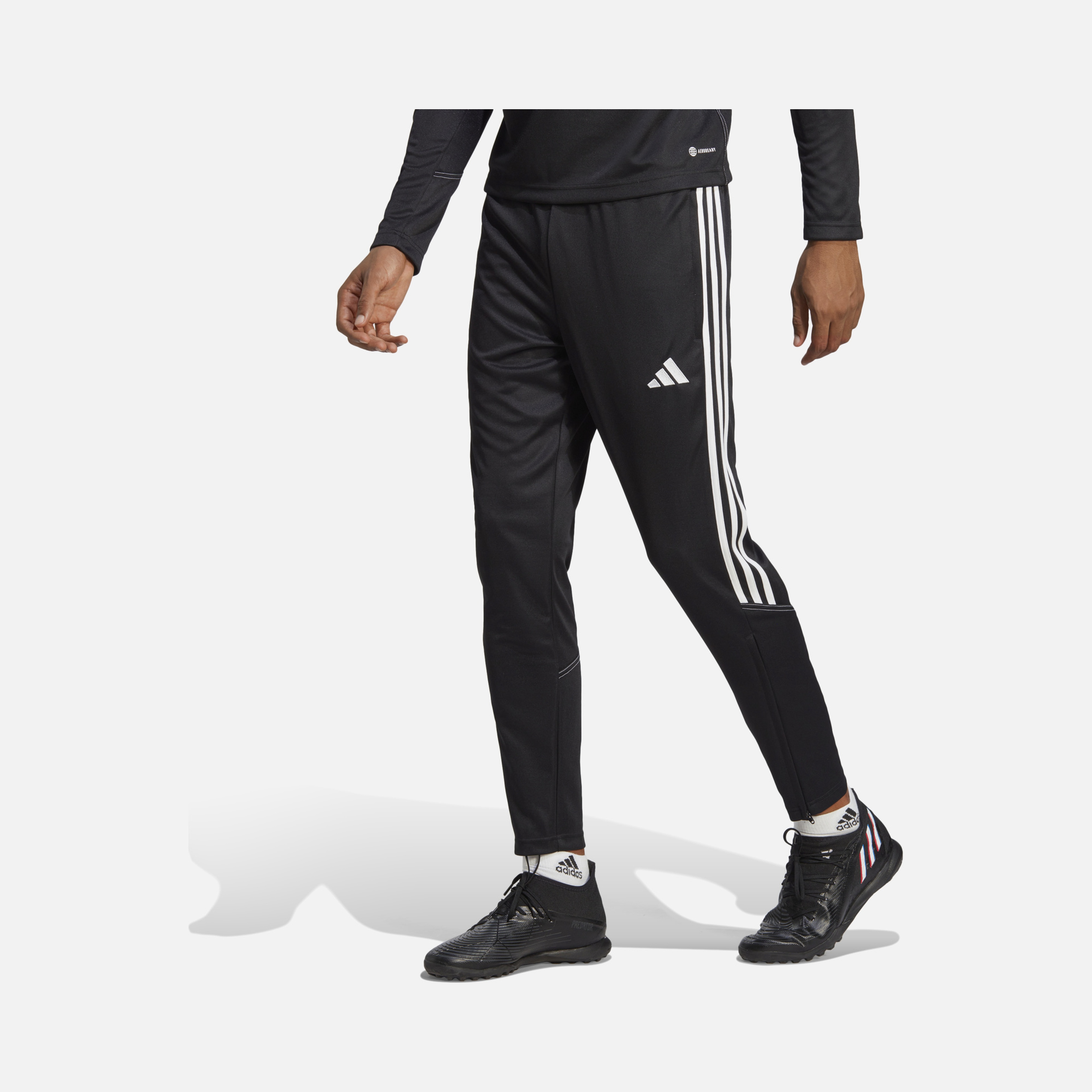 adidas Tiro 23 Club FW24 Training Erkek Eşofman Altı