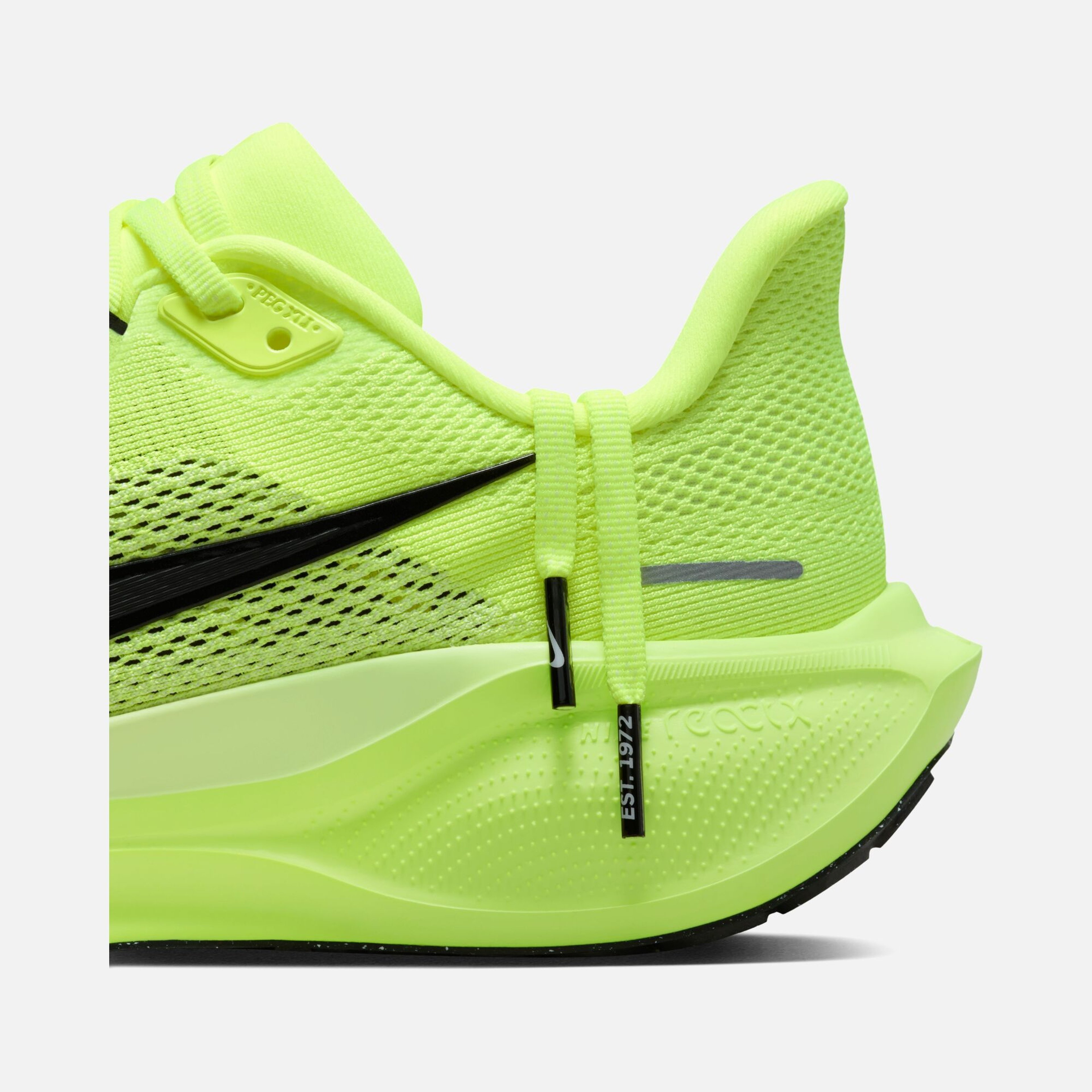 Nike Air Zoom Pegasus 41 Road Running Kadın Spor Ayakkabı