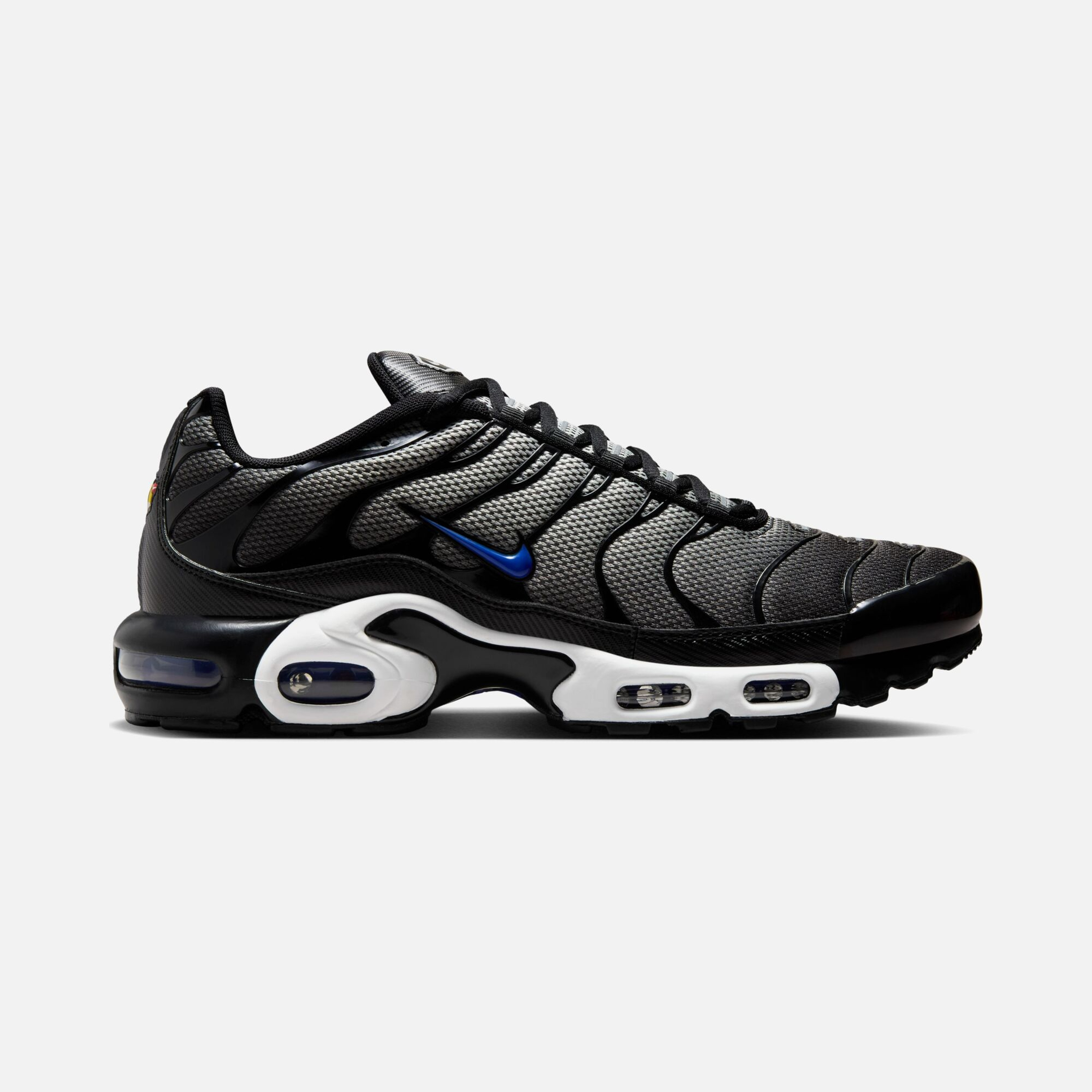 Nike Air Max Plus FA24 Erkek Spor Ayakkabı