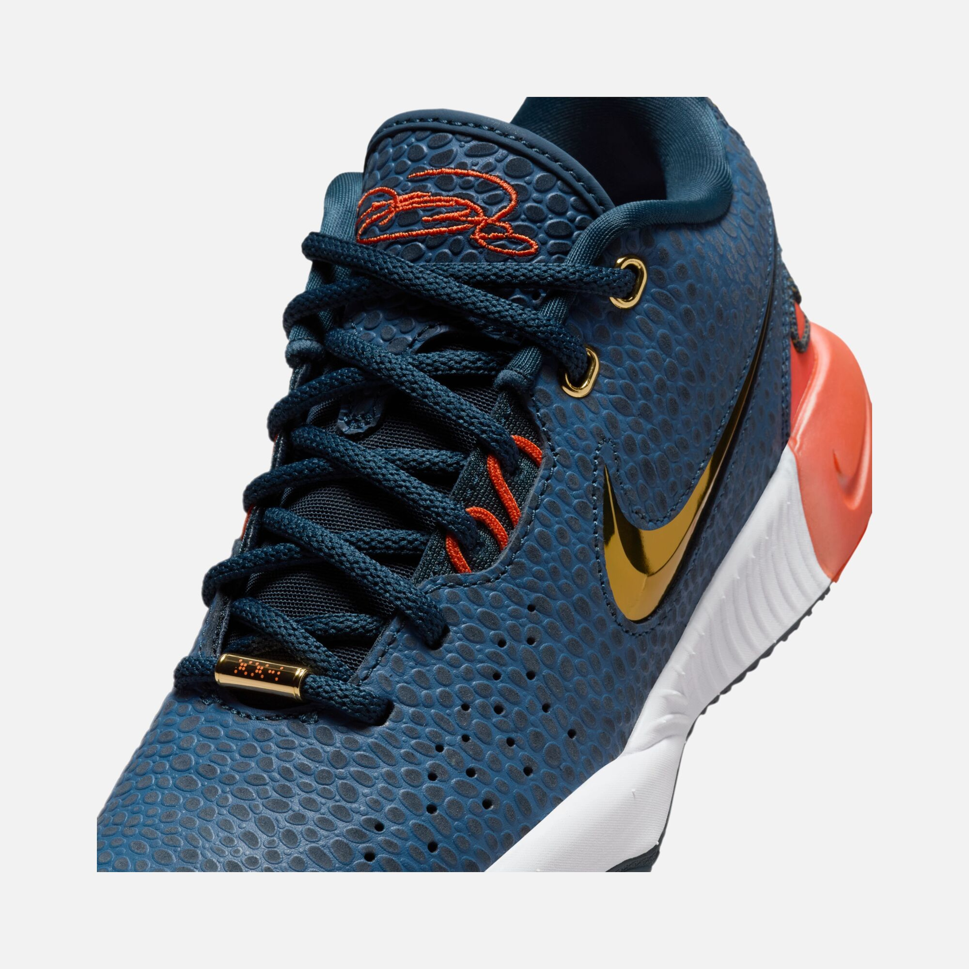 Nike LeBron James XXI SE (GS) Basketbol Ayakkabısı