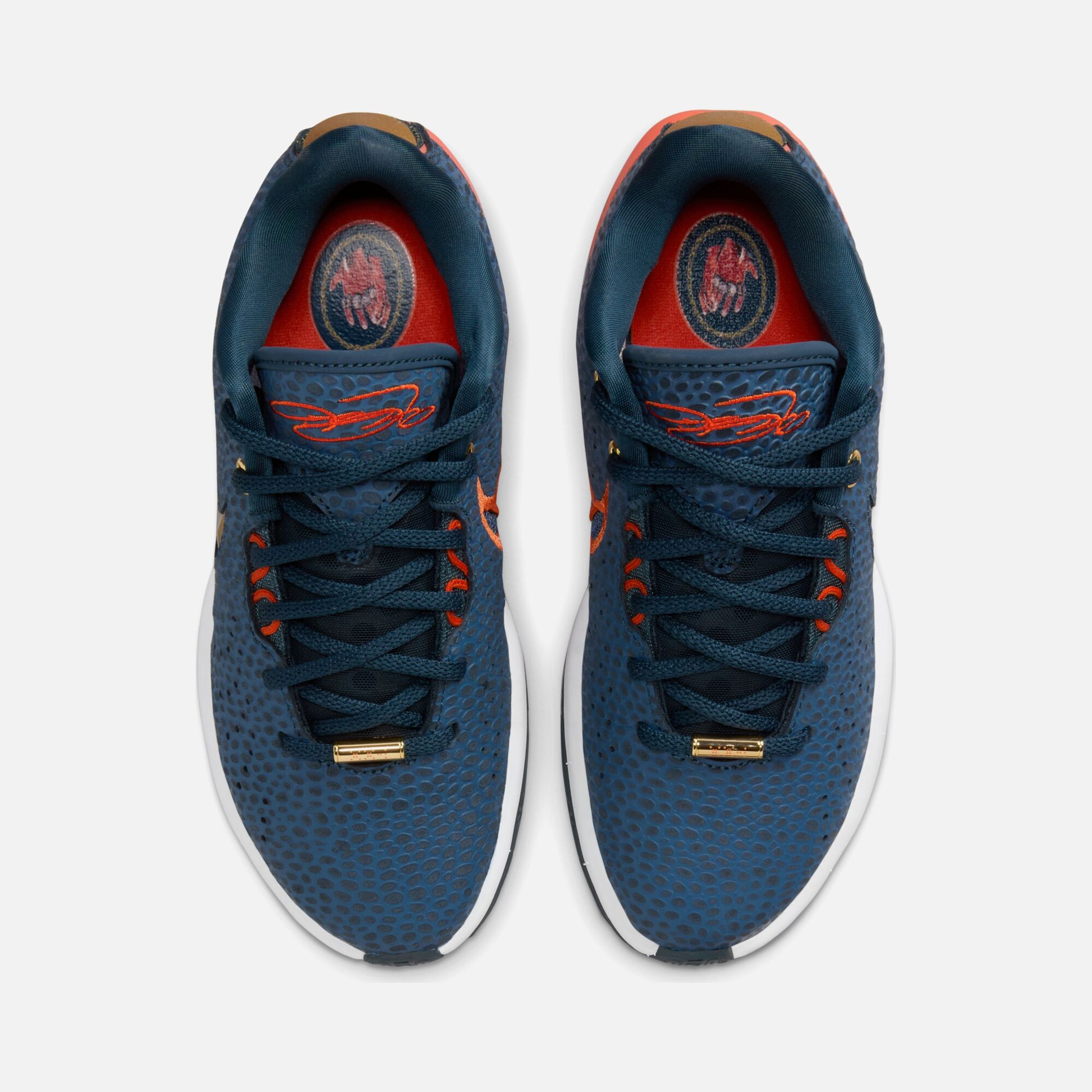 Nike LeBron James XXI SE (GS) Basketbol Ayakkabısı