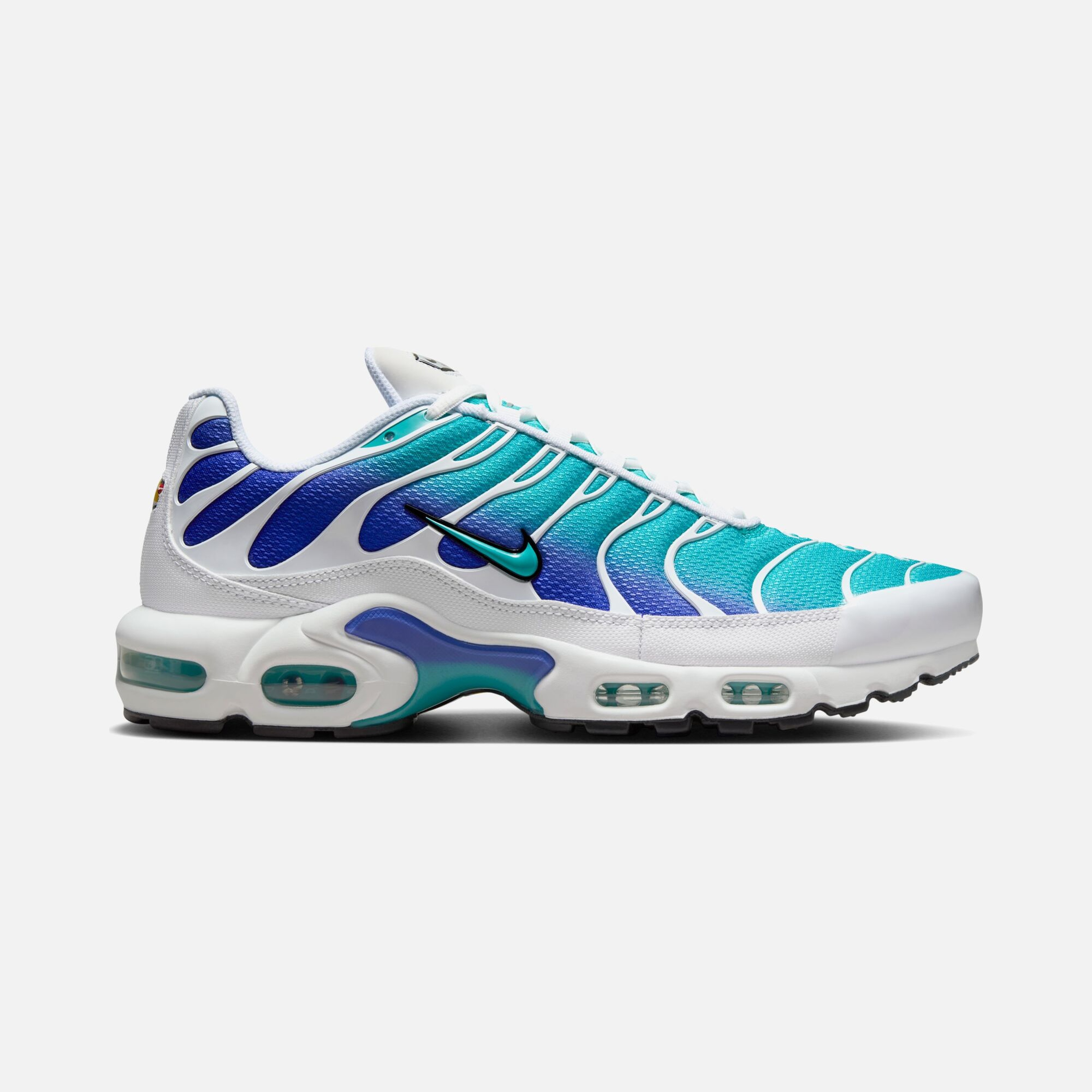 Nike Air Max Plus SS25 Erkek Spor Ayakkabı