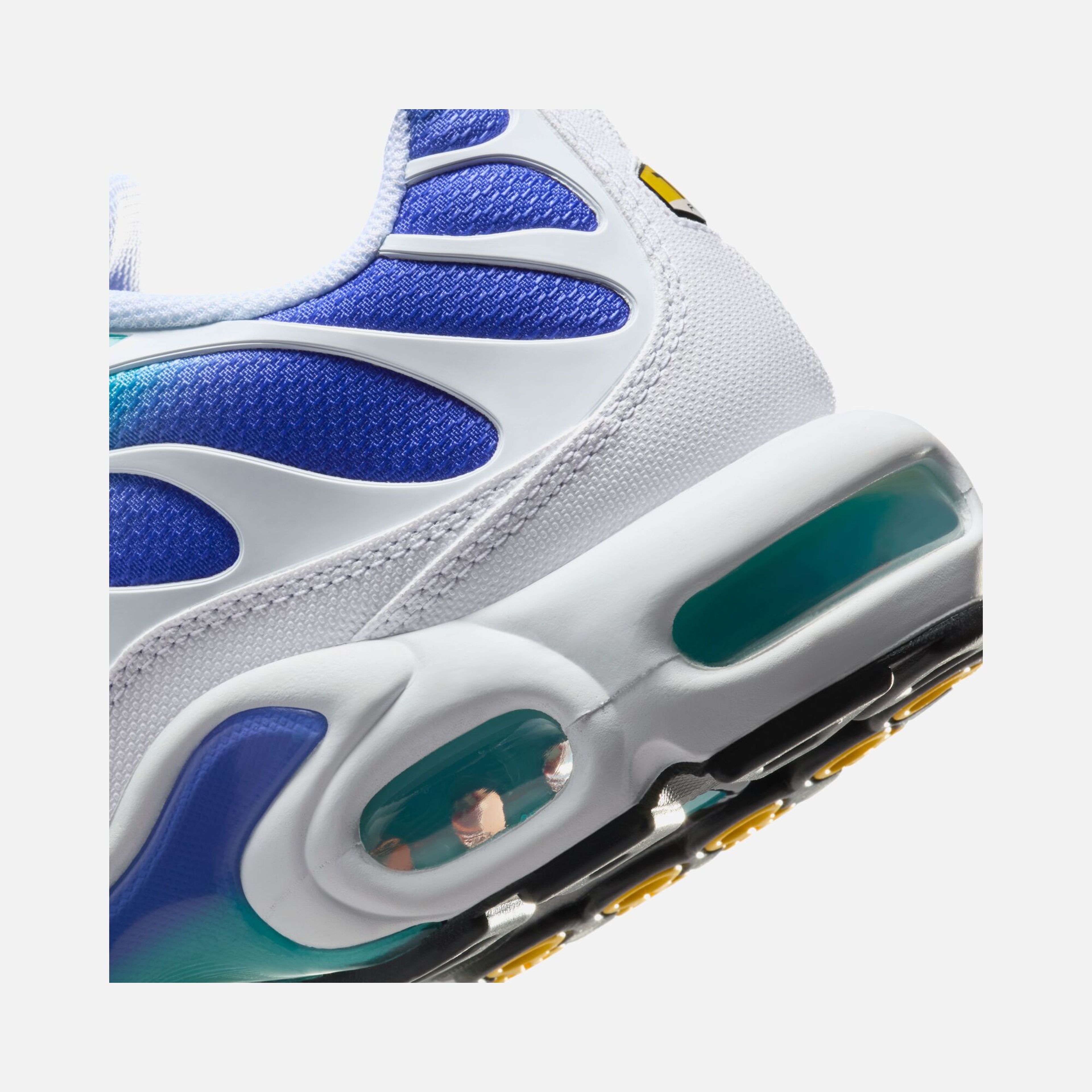 Nike Air Max Plus SS25 Erkek Spor Ayakkabı