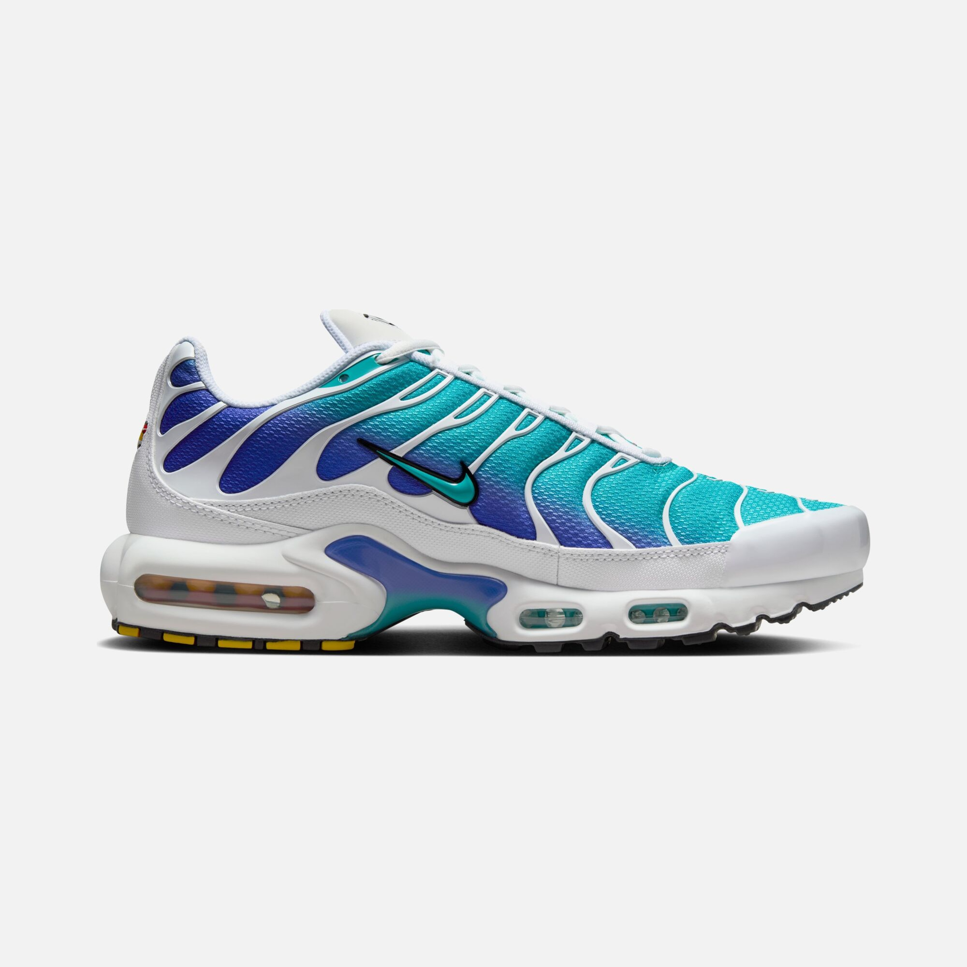 Nike Air Max Plus SS25 Erkek Spor Ayakkabı