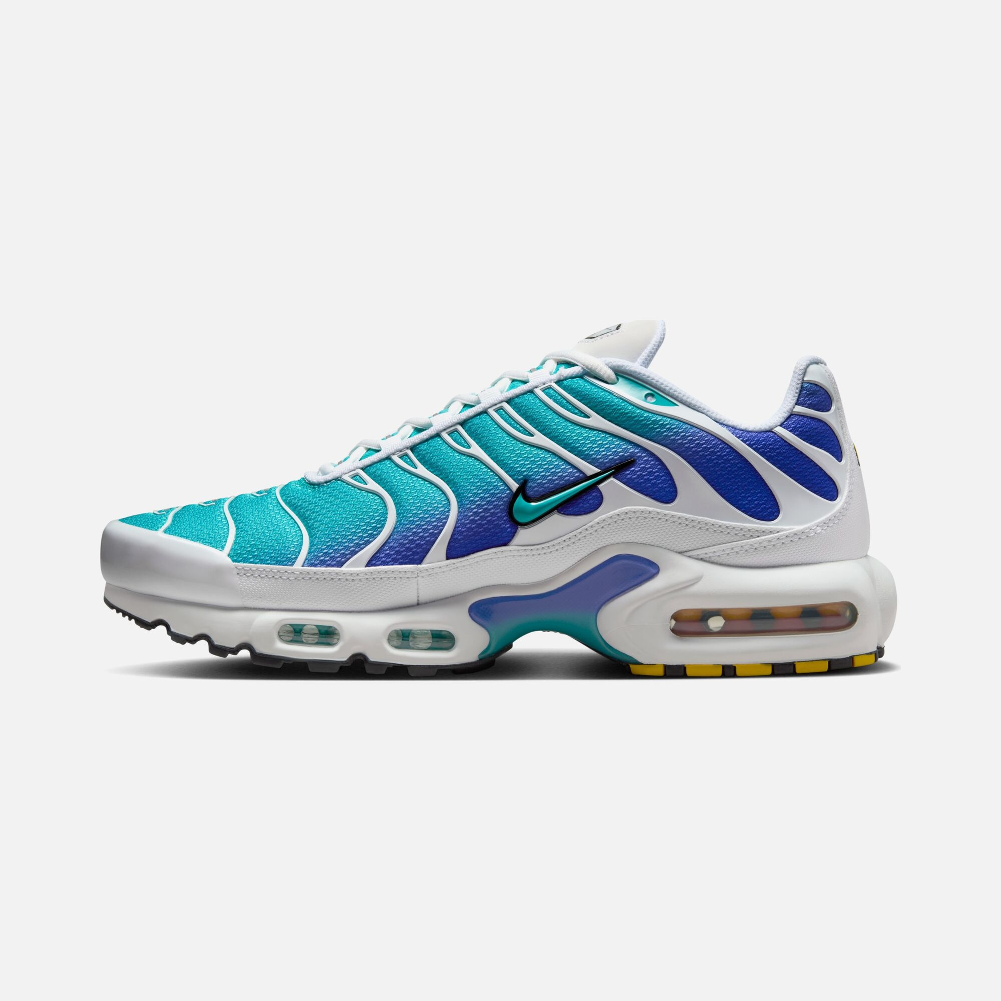 Nike Air Max Plus SS25 Erkek Spor Ayakkabı