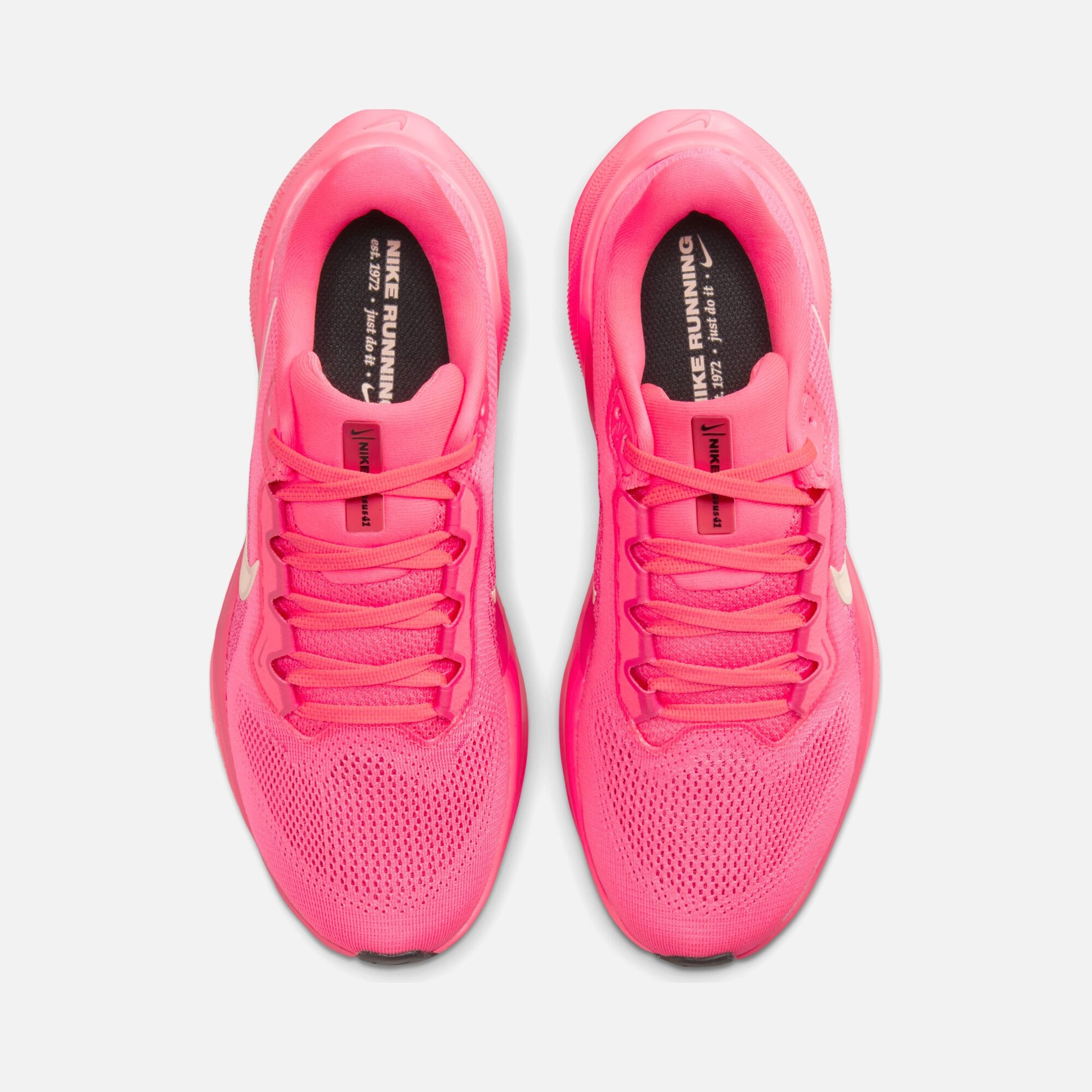 Nike Air Zoom Pegasus 41 Road Running Kadın Spor Ayakkabı