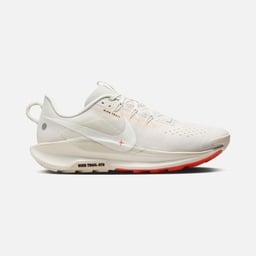 Nike Pegasus Trail 5 Trail-Running Erkek Spor Ayakkabı