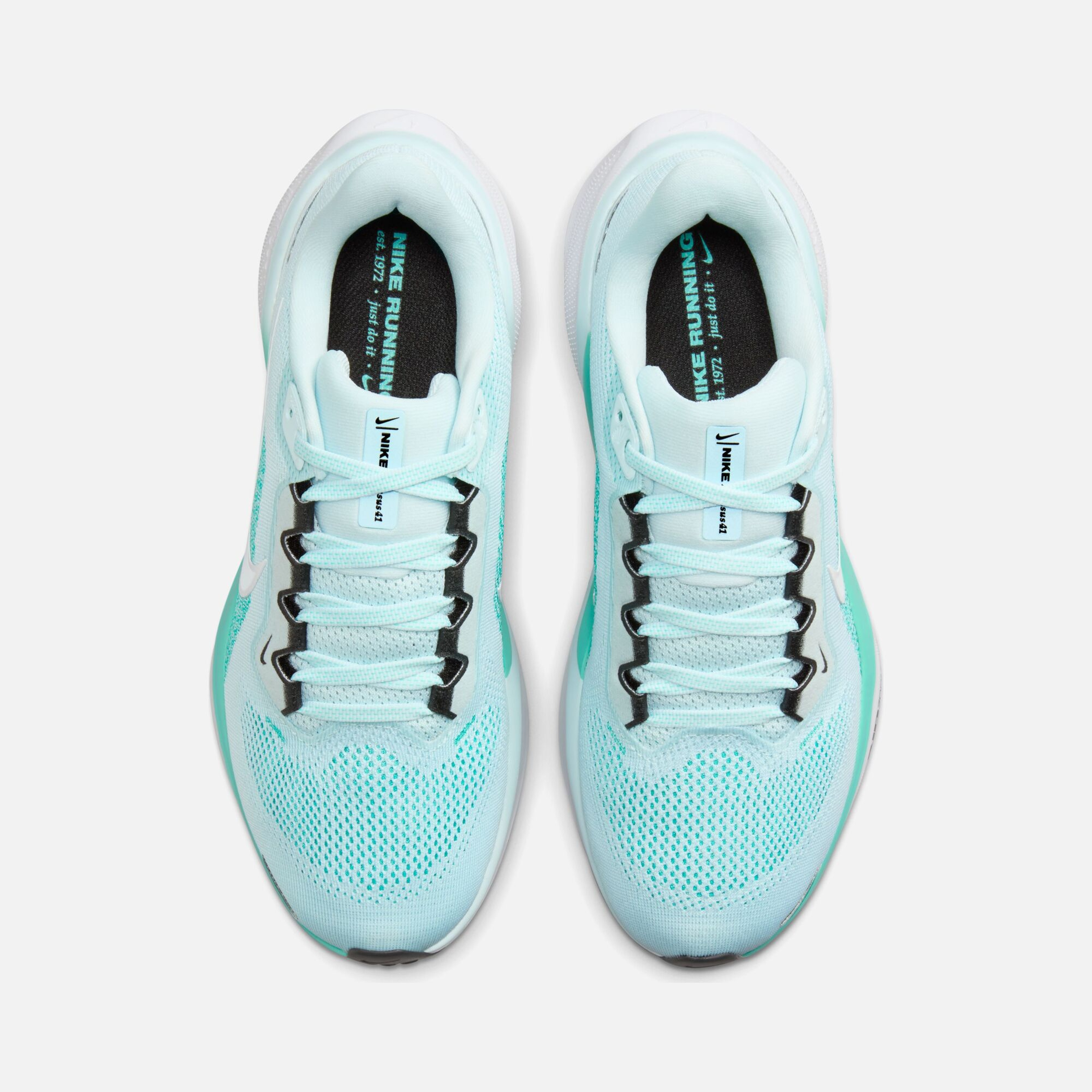 Nike Air Zoom Pegasus 41 Road Running Kadın Spor Ayakkabı