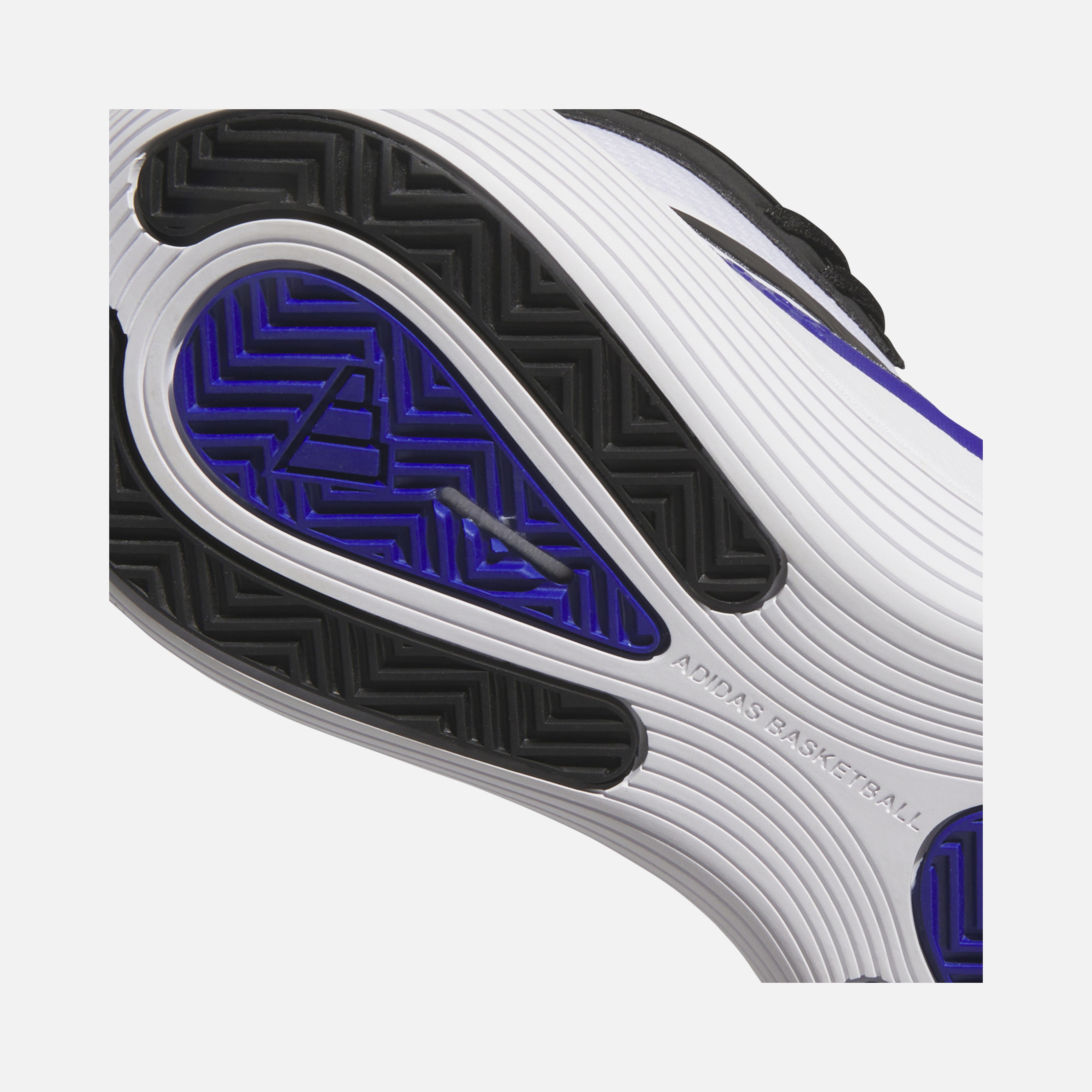 adidas Bounce Legends FW24 Erkek Basketbol Ayakkabısı