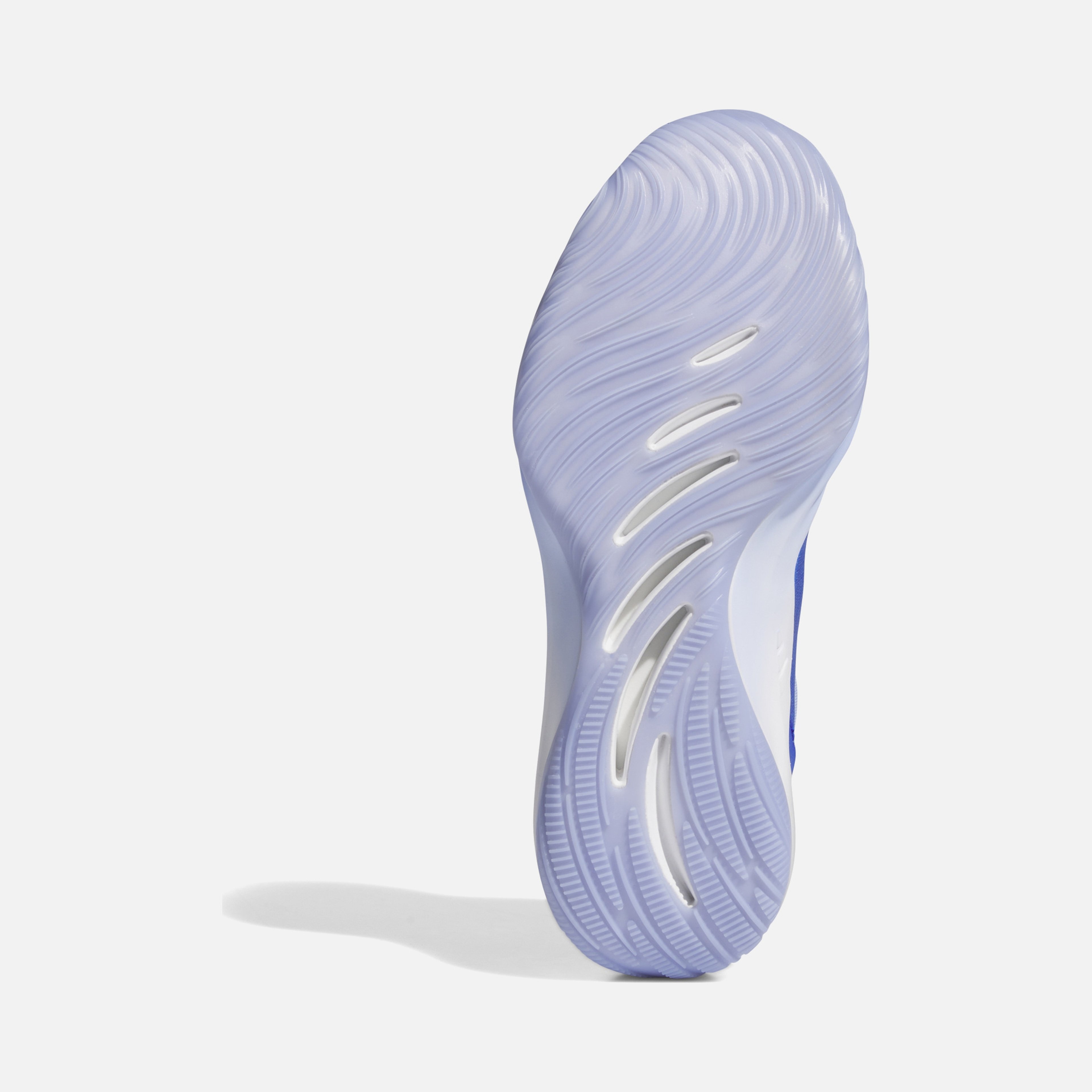 adidas Adizero Select 2.0 Erkek Basketbol Ayakkabısı