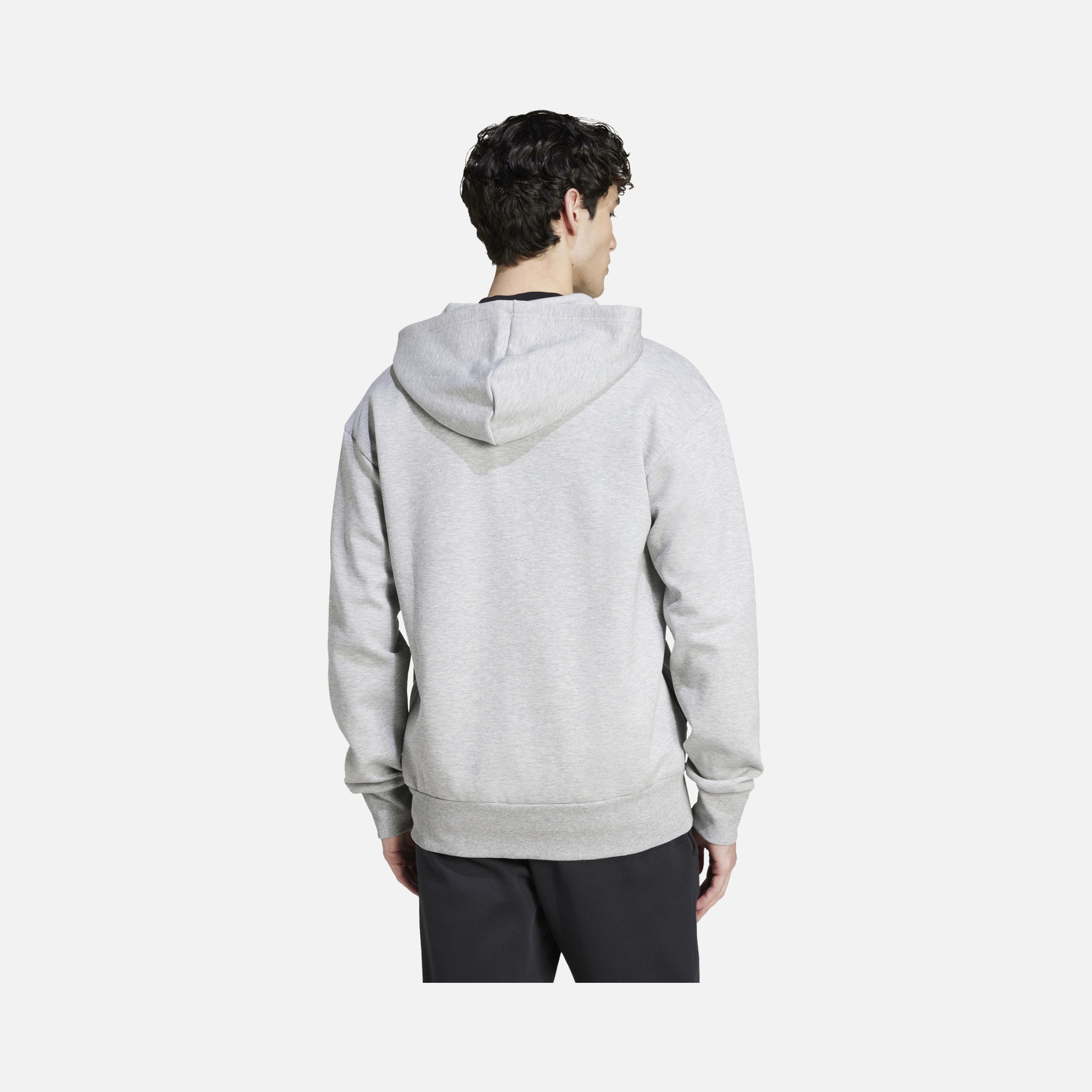 adidas Sportswear Future Icons Doubleknit FW24 Full-Zip Hoodie Erkek Sweatshirt