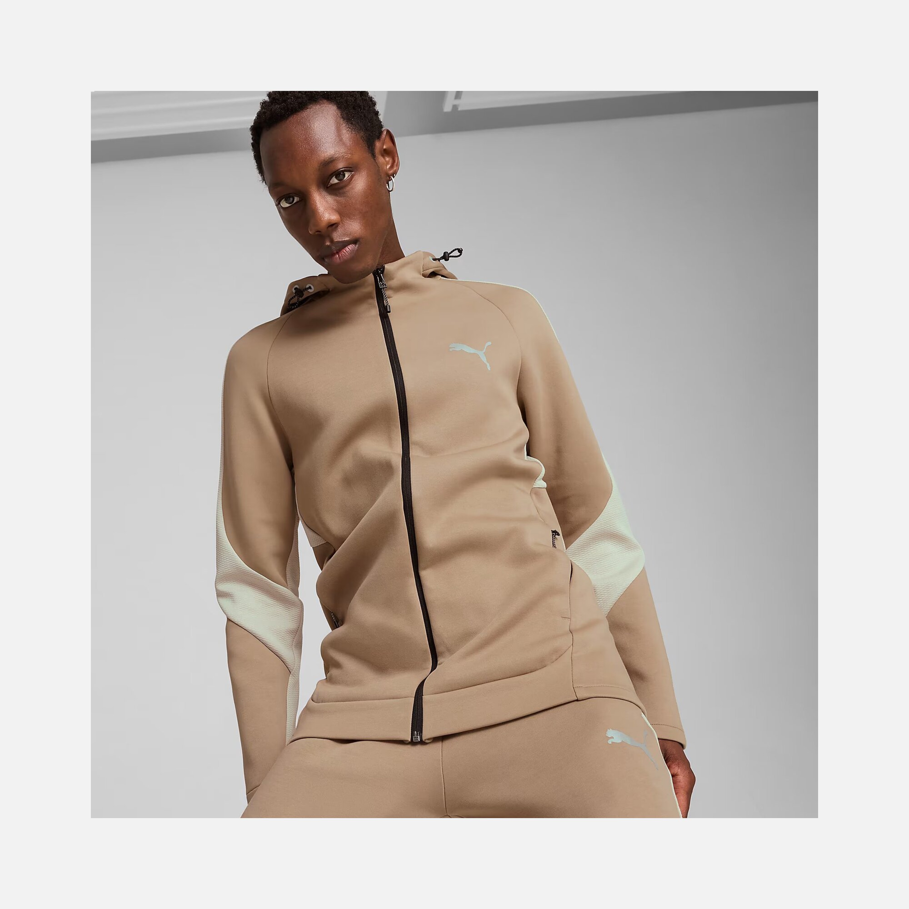 Puma Sportswear Evostripe Full-Zip Hoodie FW24 Erkek Sweatshirt