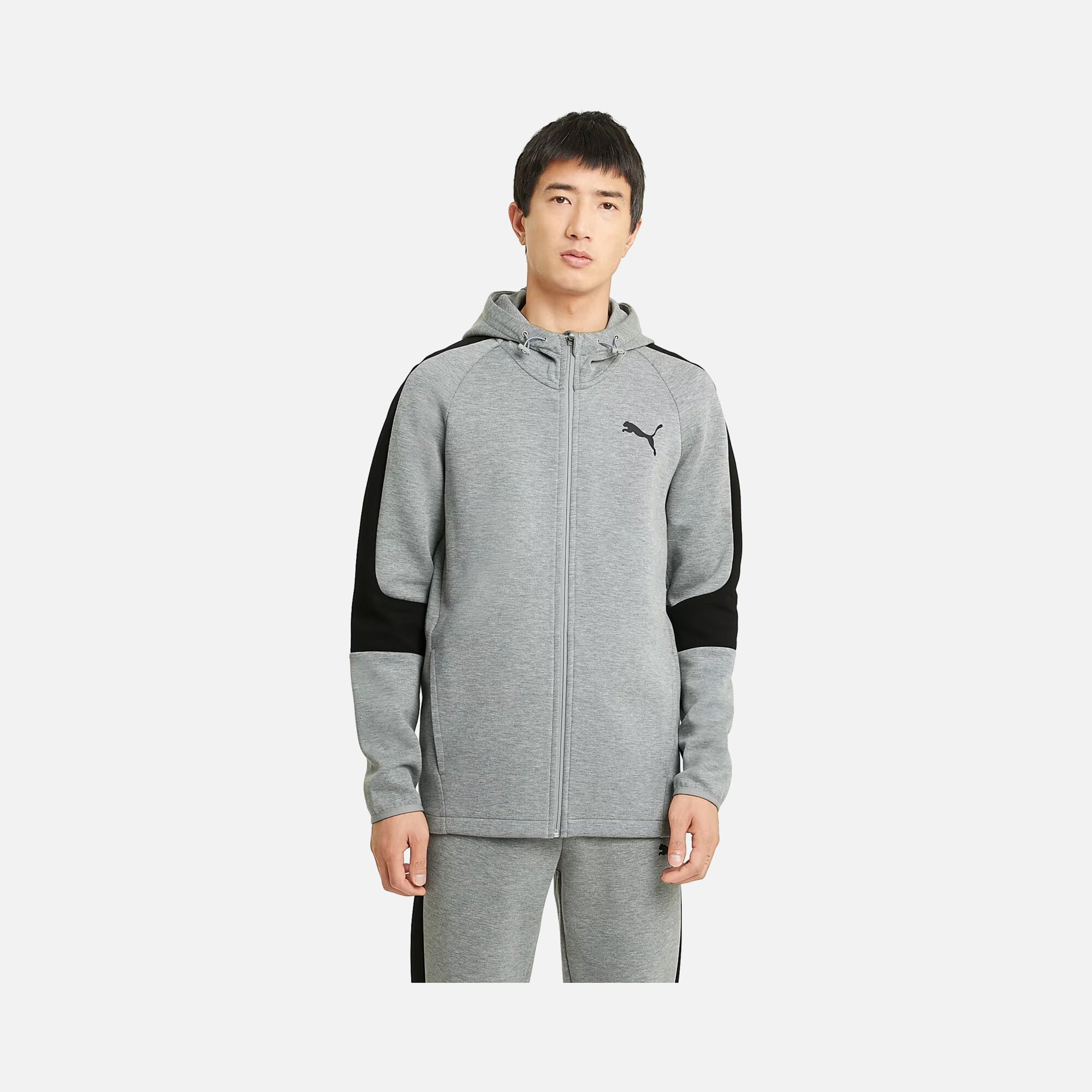 Puma Sportswear Evostripe Core Full-Zip Hoodie Erkek Sweatshirt