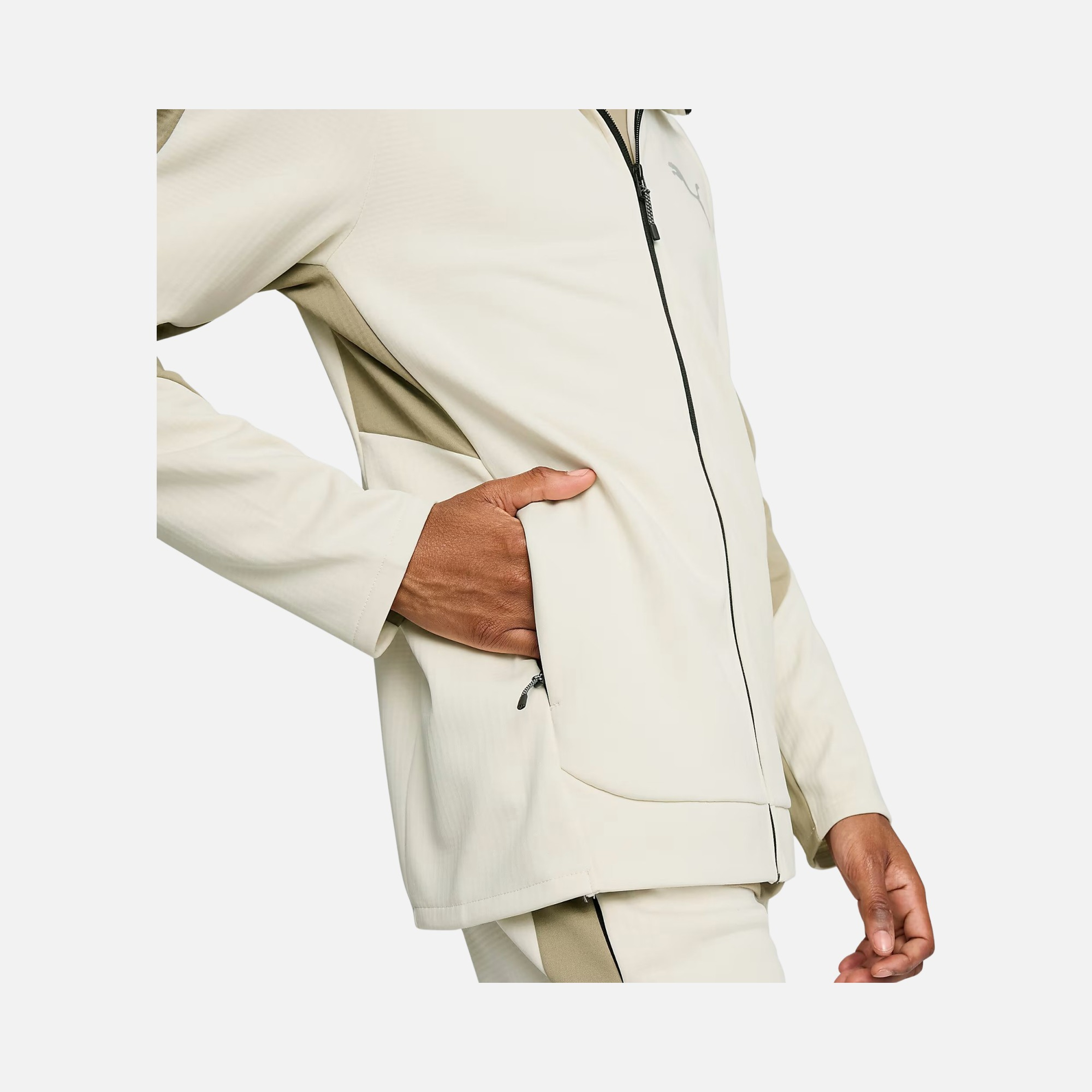 Puma Sportswear Evostripe FW24 Full-Zip Hoodie Erkek Sweatshirt