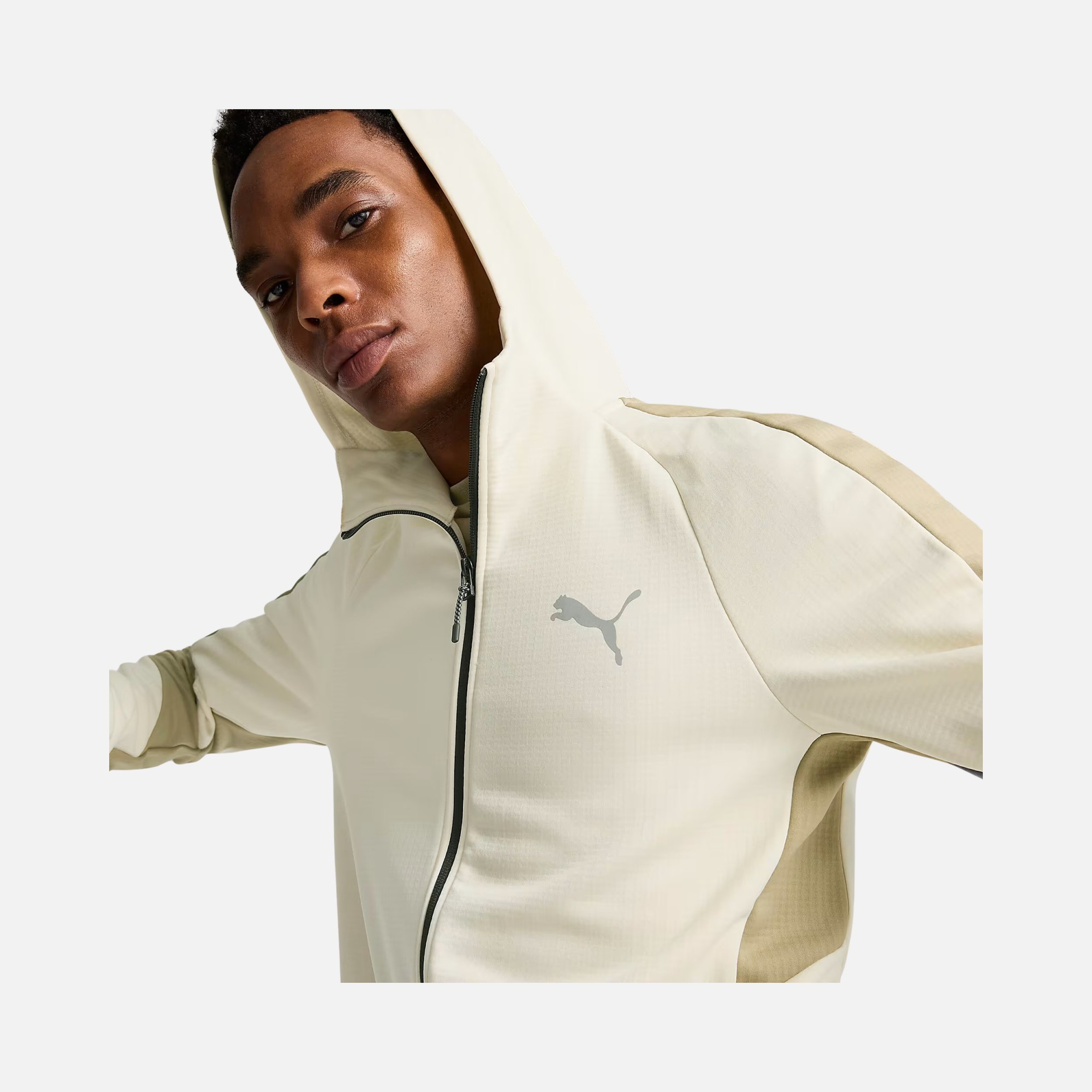 Puma Sportswear Evostripe FW24 Full-Zip Hoodie Erkek Sweatshirt