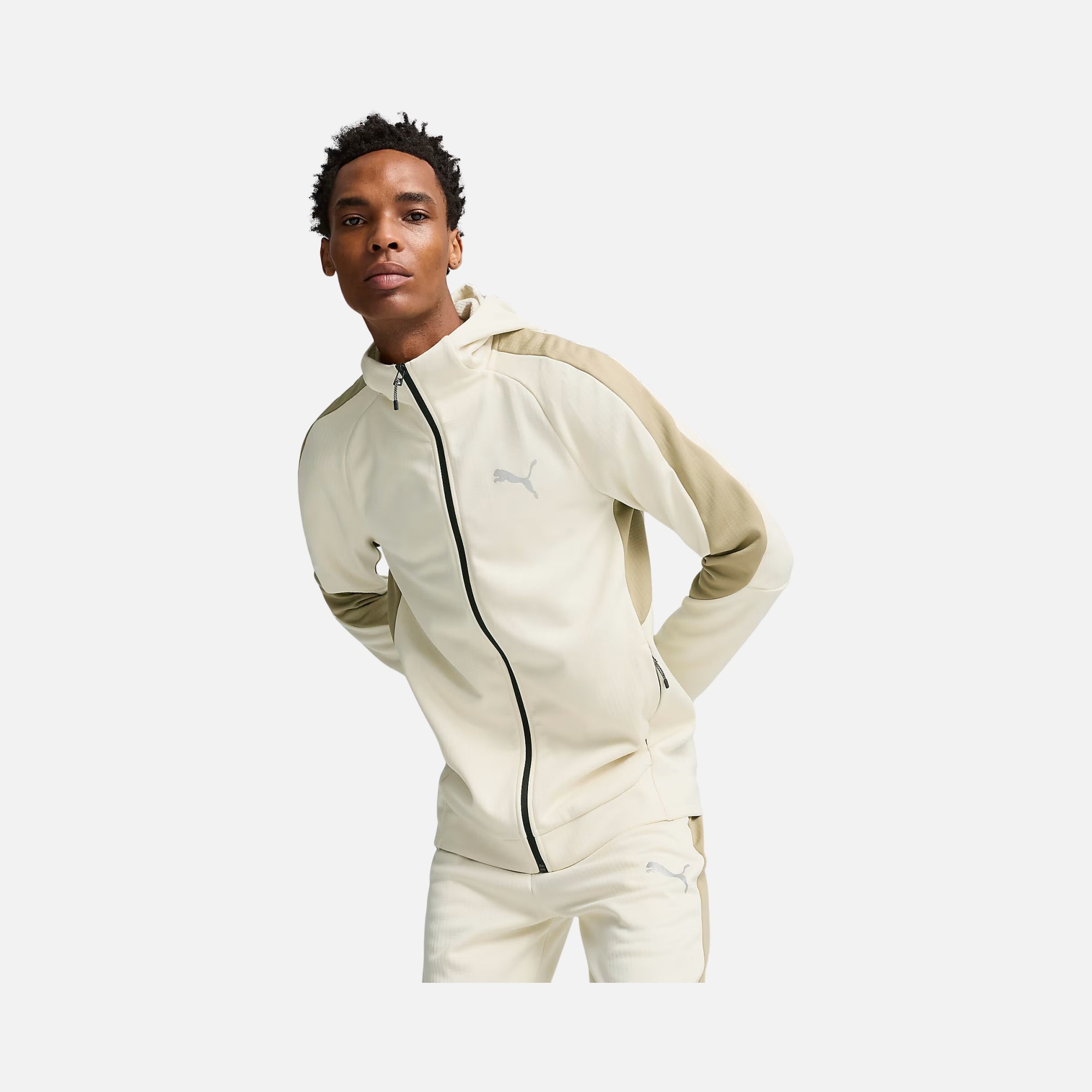 Puma Sportswear Evostripe FW24 Full-Zip Hoodie Erkek Sweatshirt