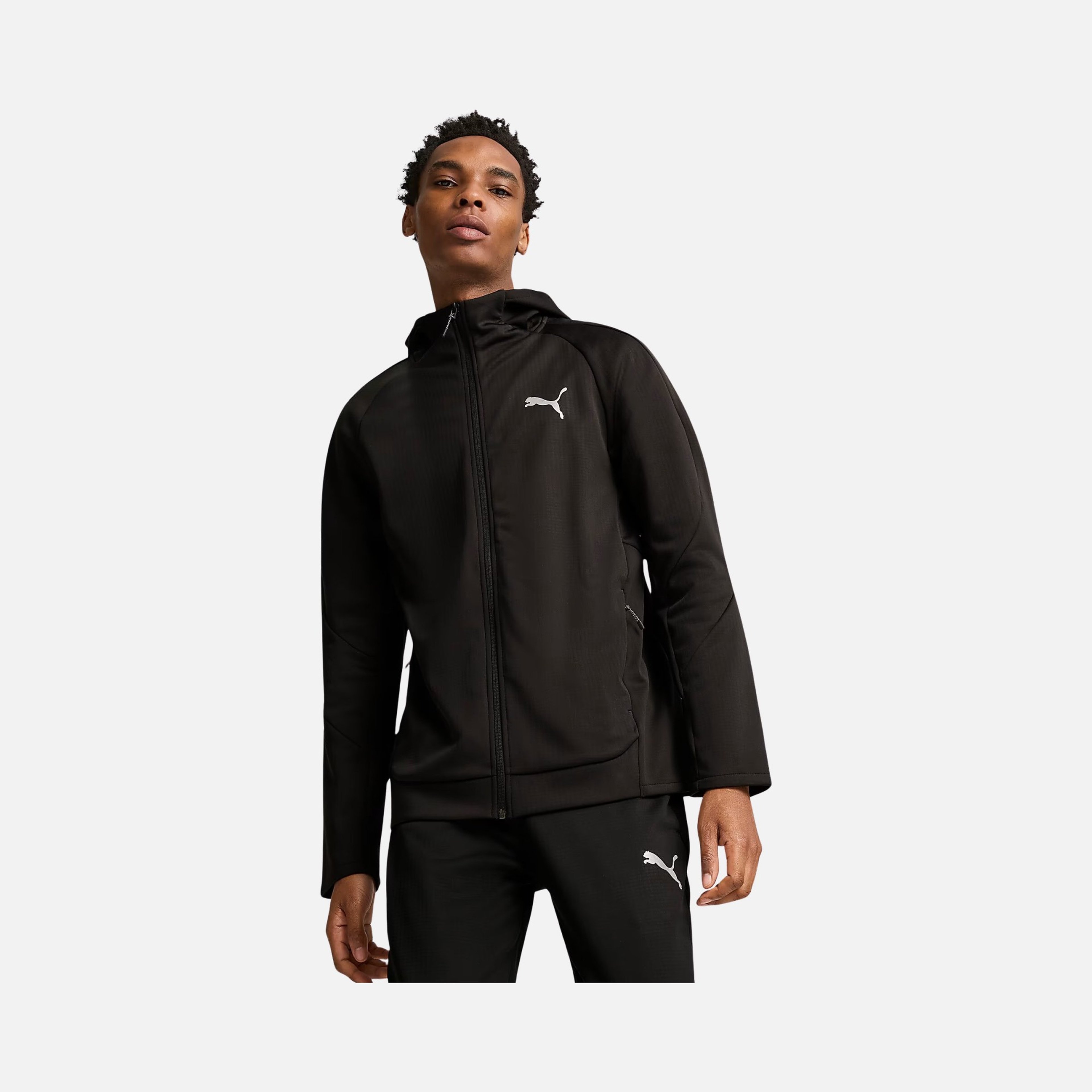 Puma Sportswear Evostripe FW24 Full-Zip Hoodie Erkek Sweatshirt