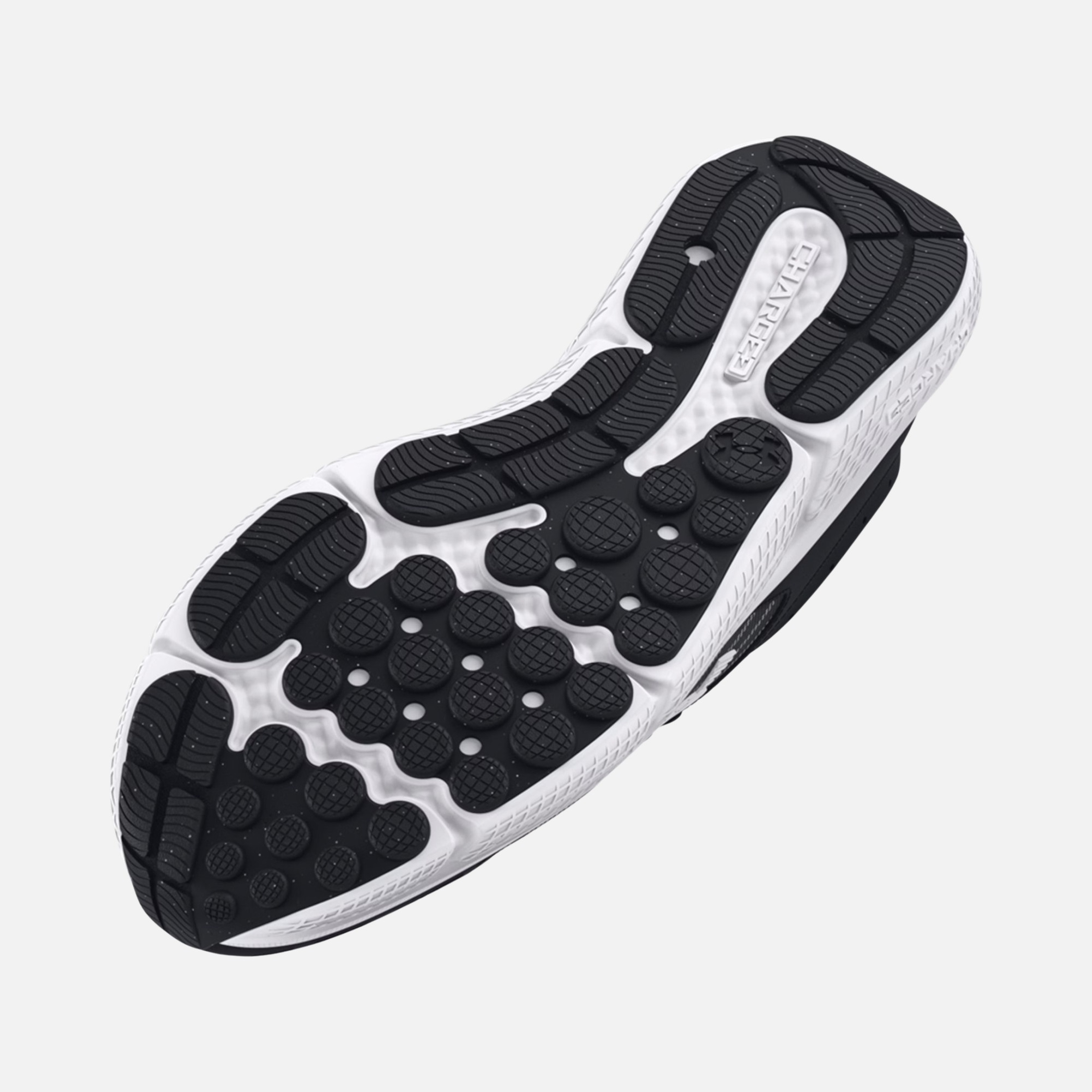 Under Armour Charged Assert 10 Running Erkek Spor Ayakkabı