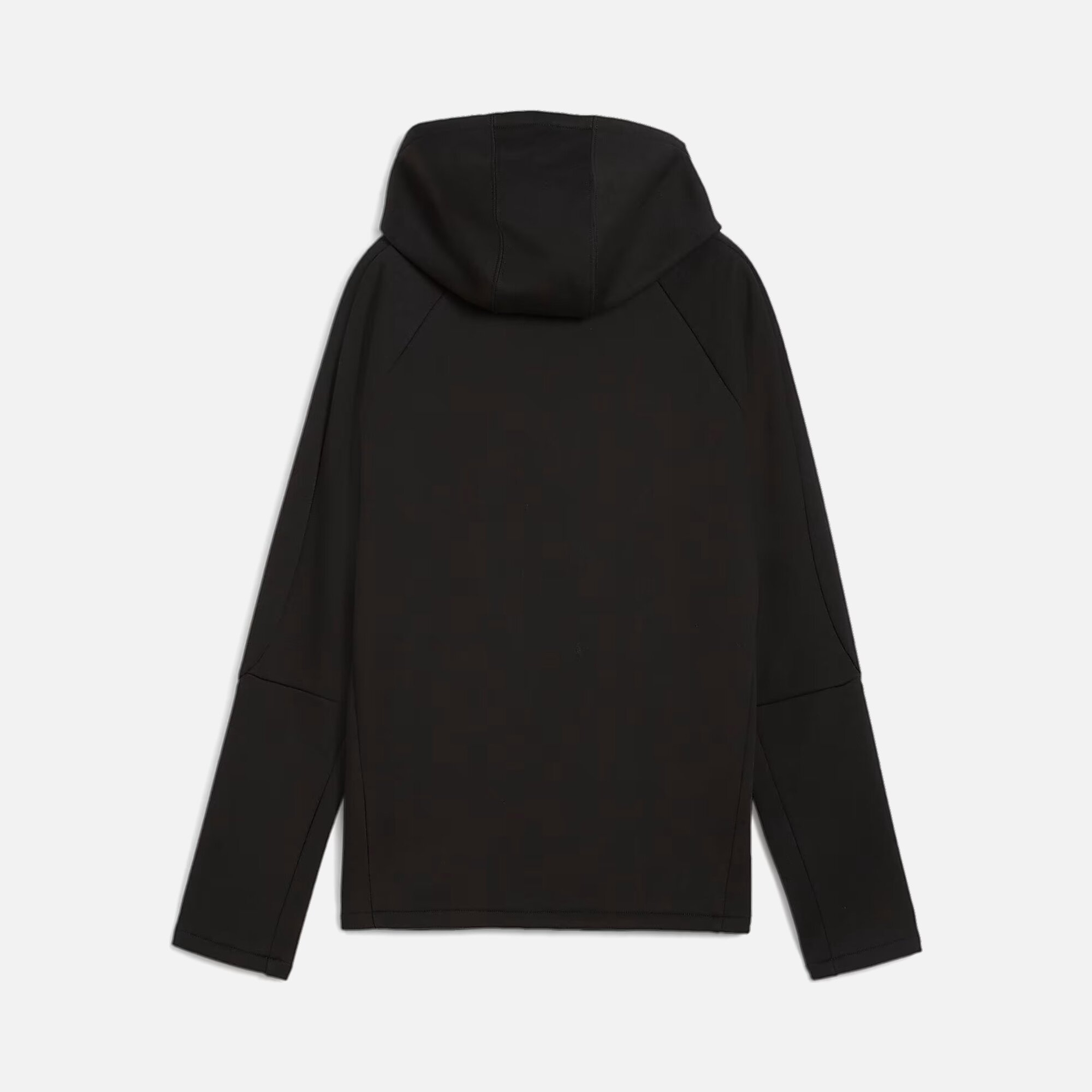 Puma Sportswear Evostripe FA24 Full-Zip Hoodie Kadın Sweatshirt