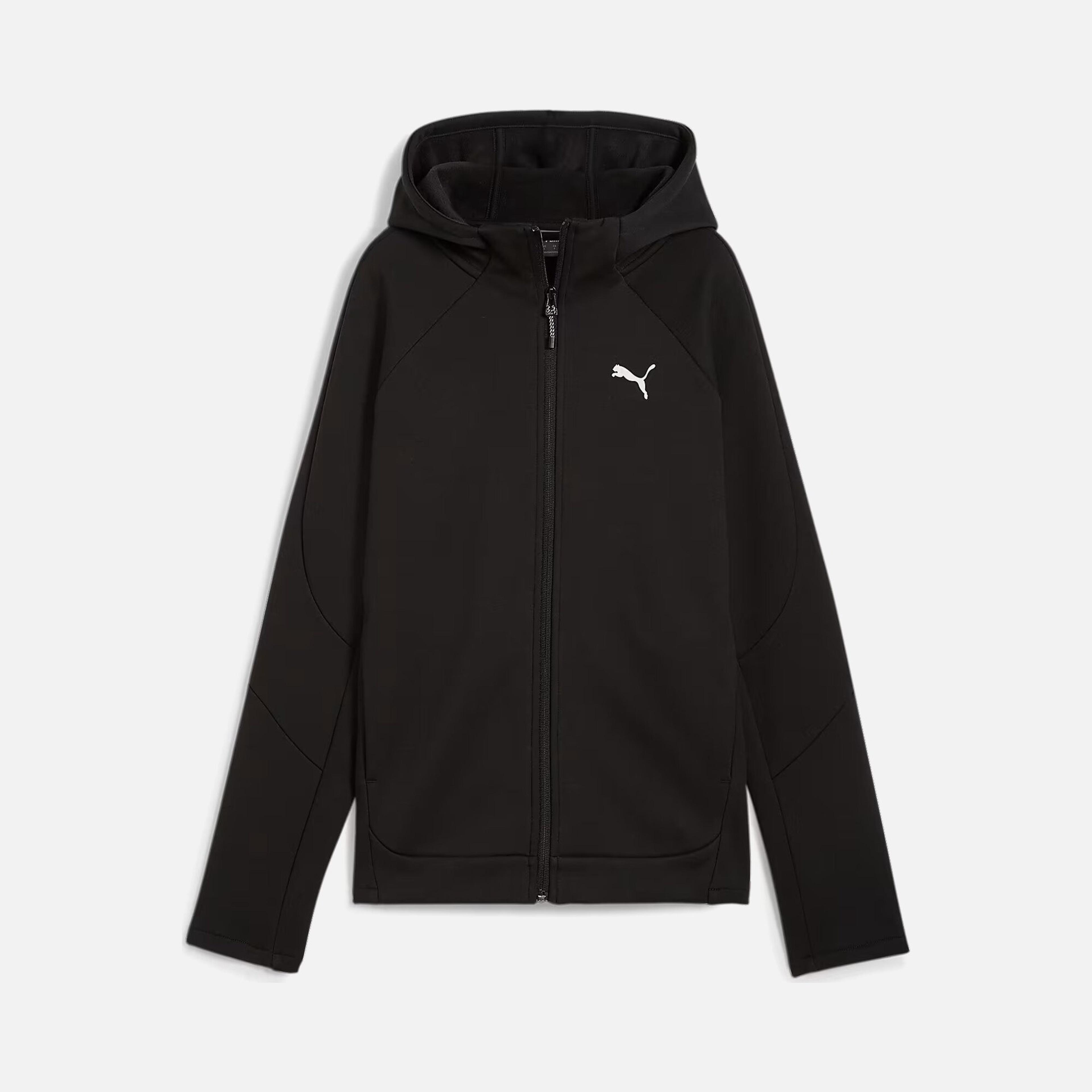 Puma Sportswear Evostripe FA24 Full-Zip Hoodie Kadın Sweatshirt