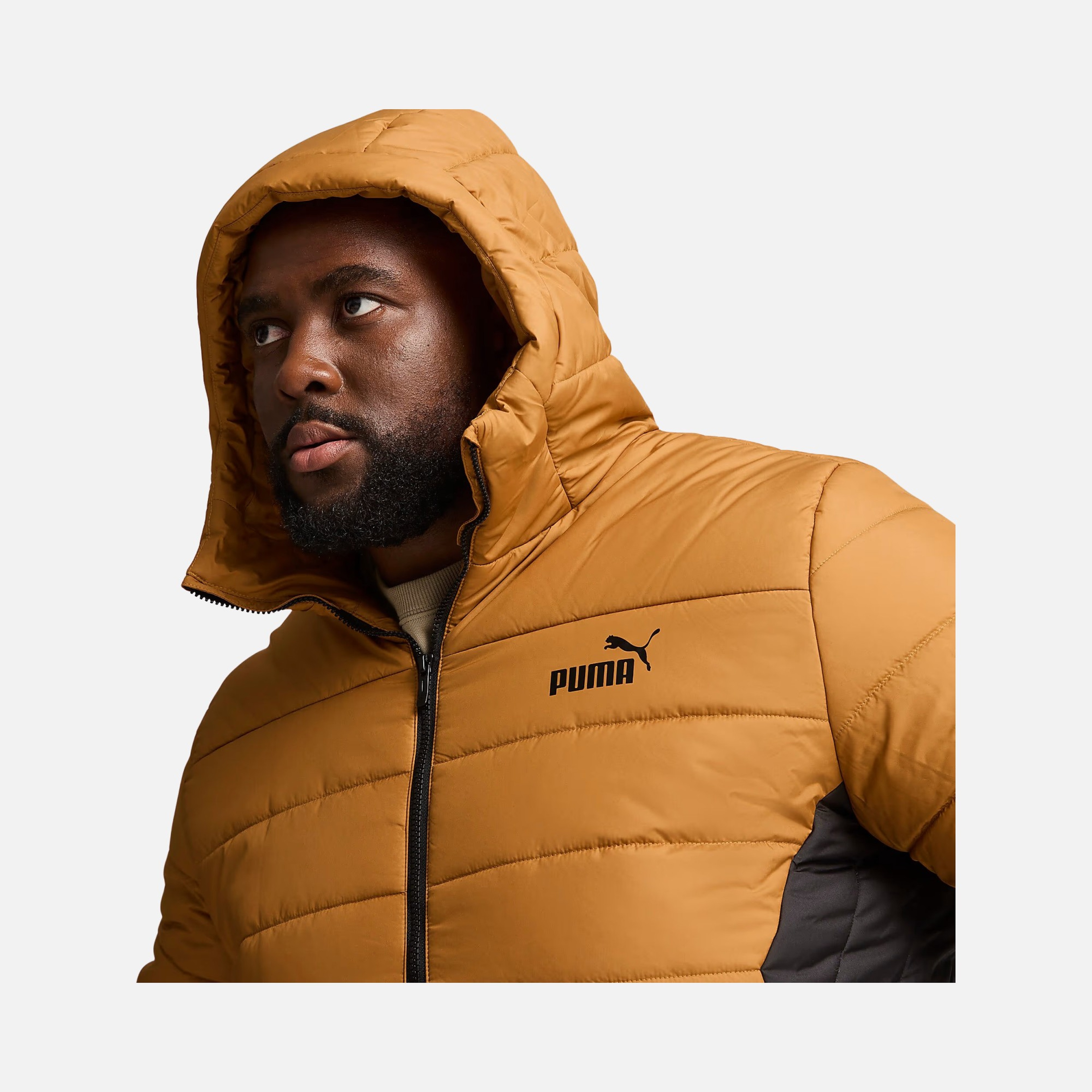 Puma Sportswear Essentials Full-Zip Hoodie Erkek Mont