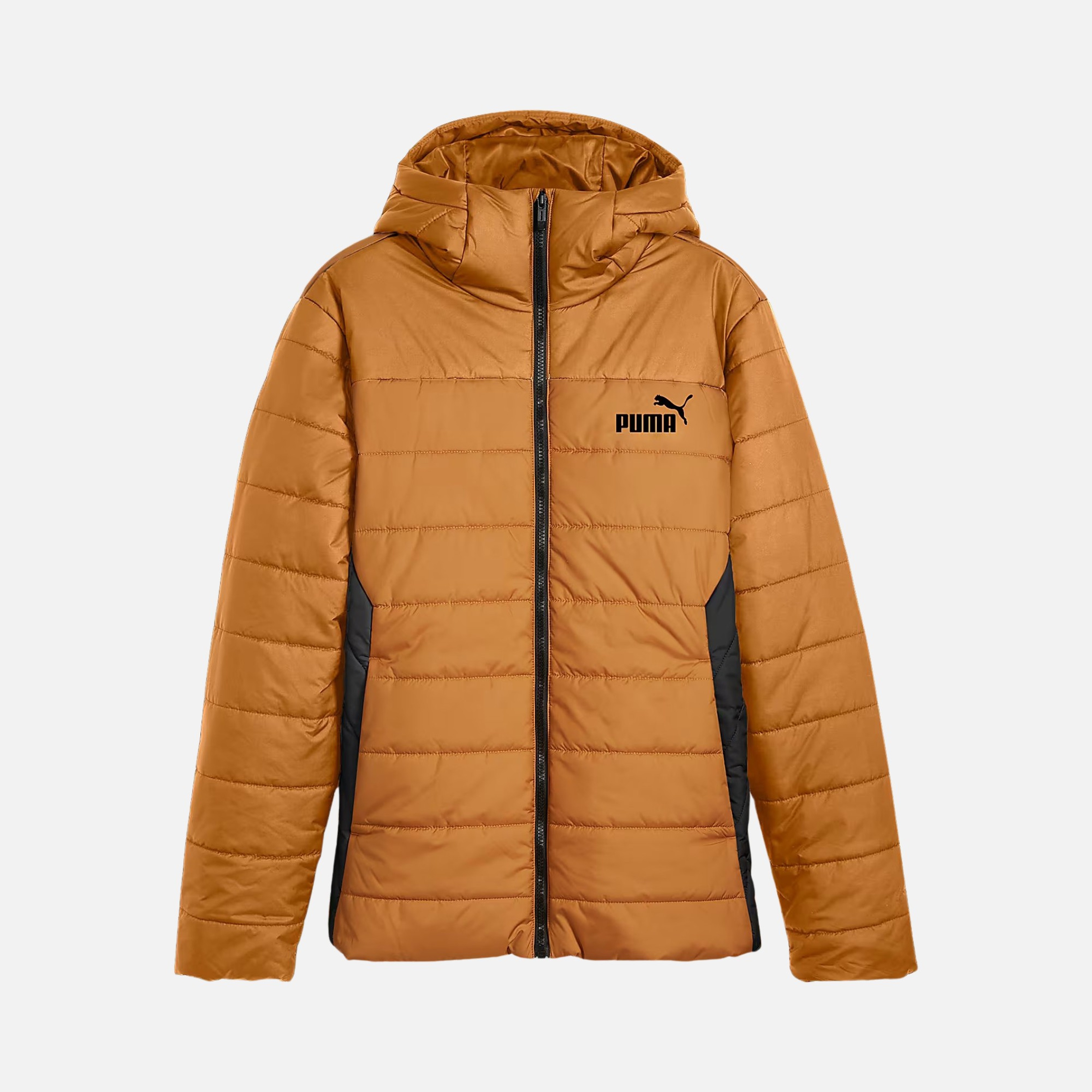 Puma Sportswear Essentials Full-Zip Hoodie Erkek Mont